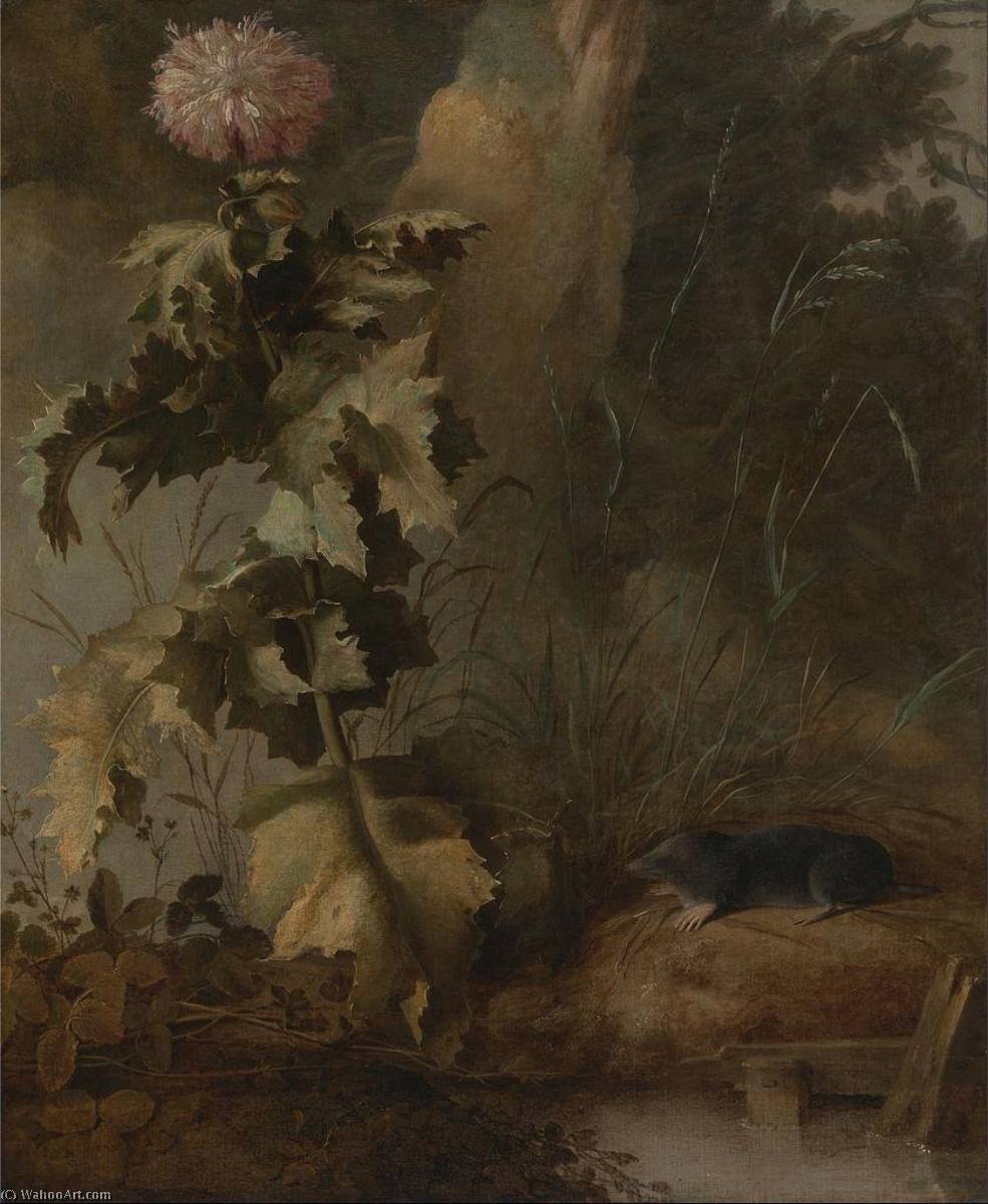 WikiOO.org – 美術百科全書 - 繪畫，作品 John Crome - 一个 埃及  罂粟  和  一个  水  痣