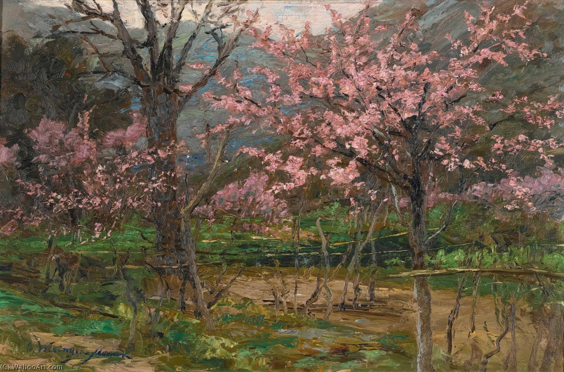 Wikioo.org - The Encyclopedia of Fine Arts - Painting, Artwork by Olga Wisinger Florian - Spring Blossom