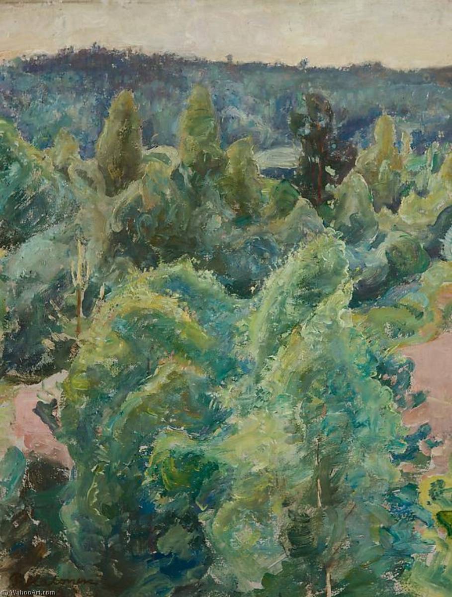 Wikioo.org - The Encyclopedia of Fine Arts - Painting, Artwork by Pekka Halonen - Landscape