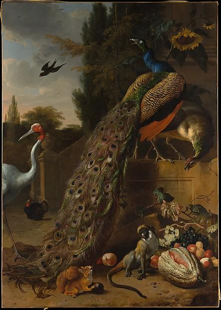 WikiOO.org - 백과 사전 - 회화, 삽화 Melchior De Hondecoeter - Peacocks