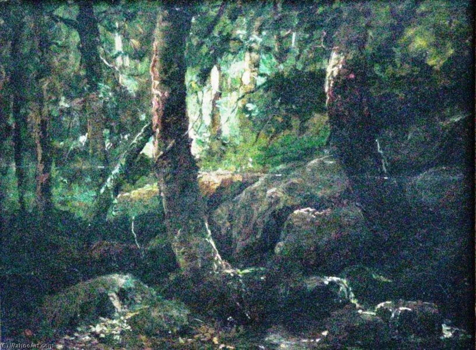 Wikioo.org - The Encyclopedia of Fine Arts - Painting, Artwork by Antonio Parreiras - Forest