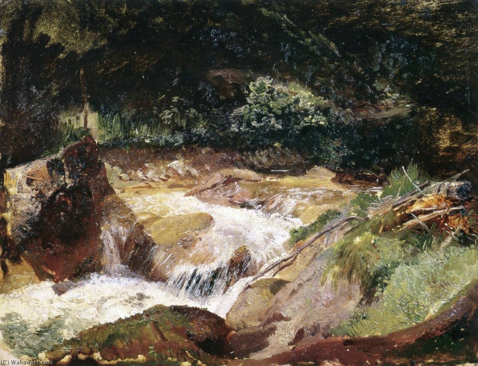Wikioo.org - The Encyclopedia of Fine Arts - Painting, Artwork by Emil Jacob Schindler - Mountain Stream in the Ramau