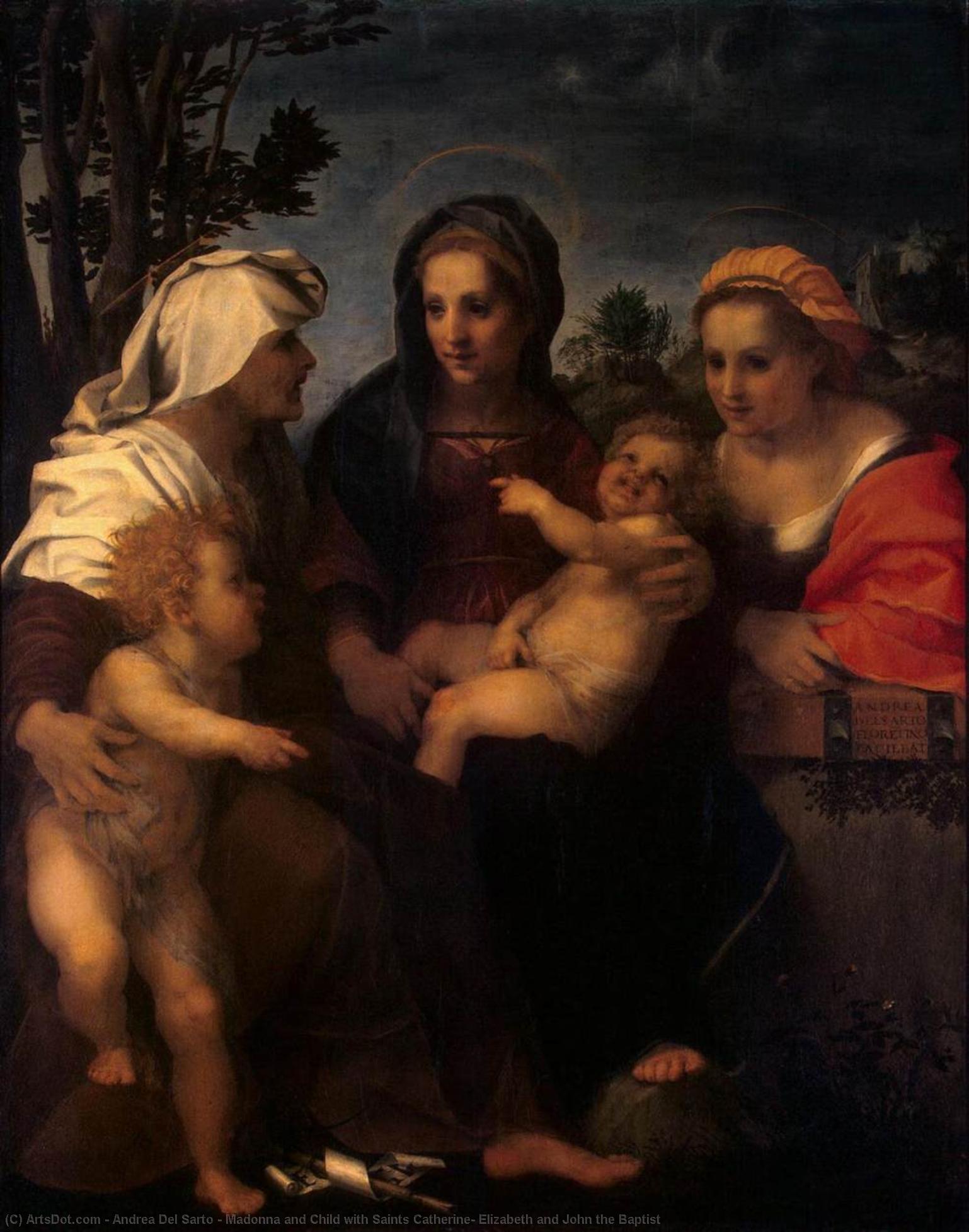 Wikioo.org – L'Enciclopedia delle Belle Arti - Pittura, Opere di Andrea Del Sarto - madonna col bambino con santi Catherine , elizabeth e john il battista