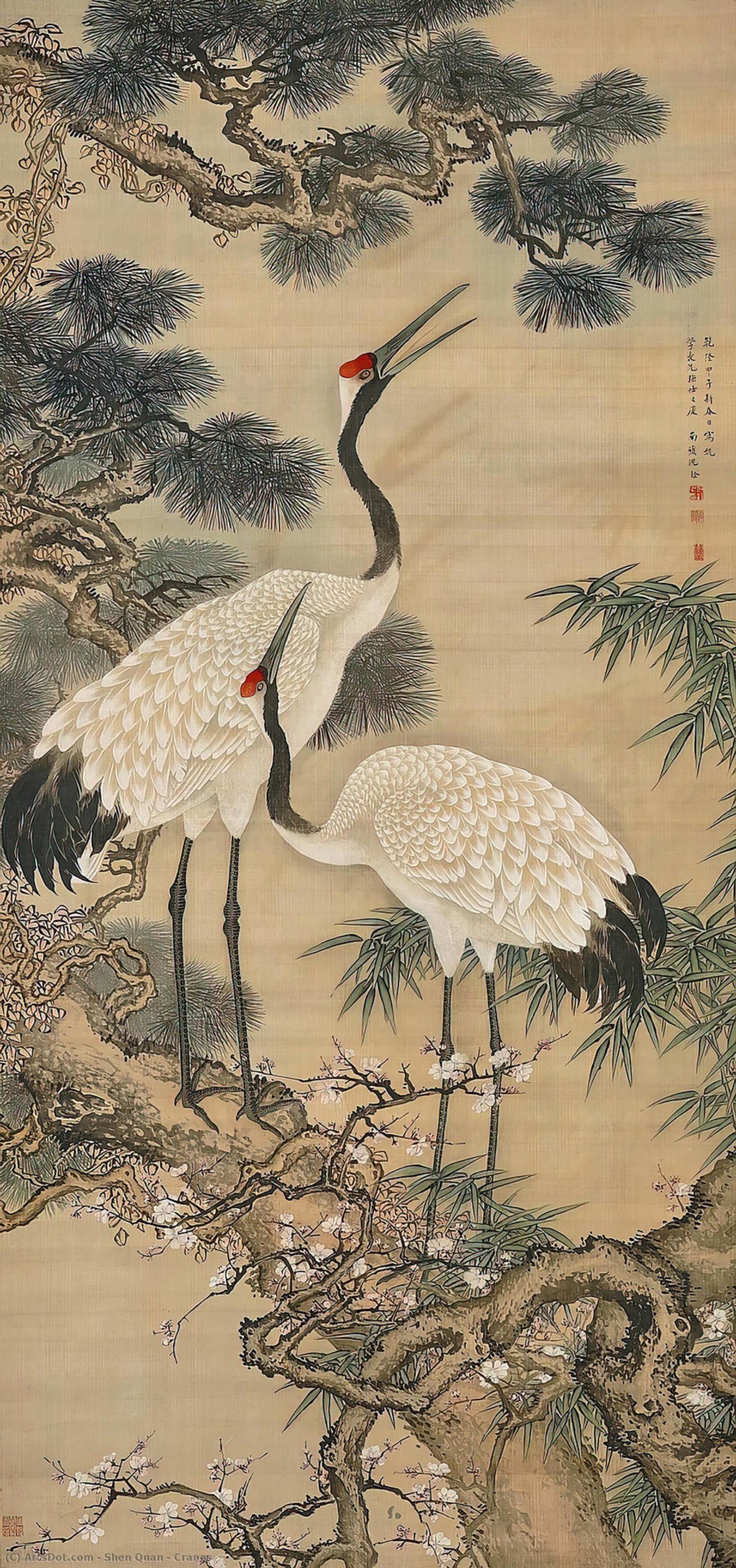 Wikioo.org - The Encyclopedia of Fine Arts - Painting, Artwork by Shen Quan - Cranes