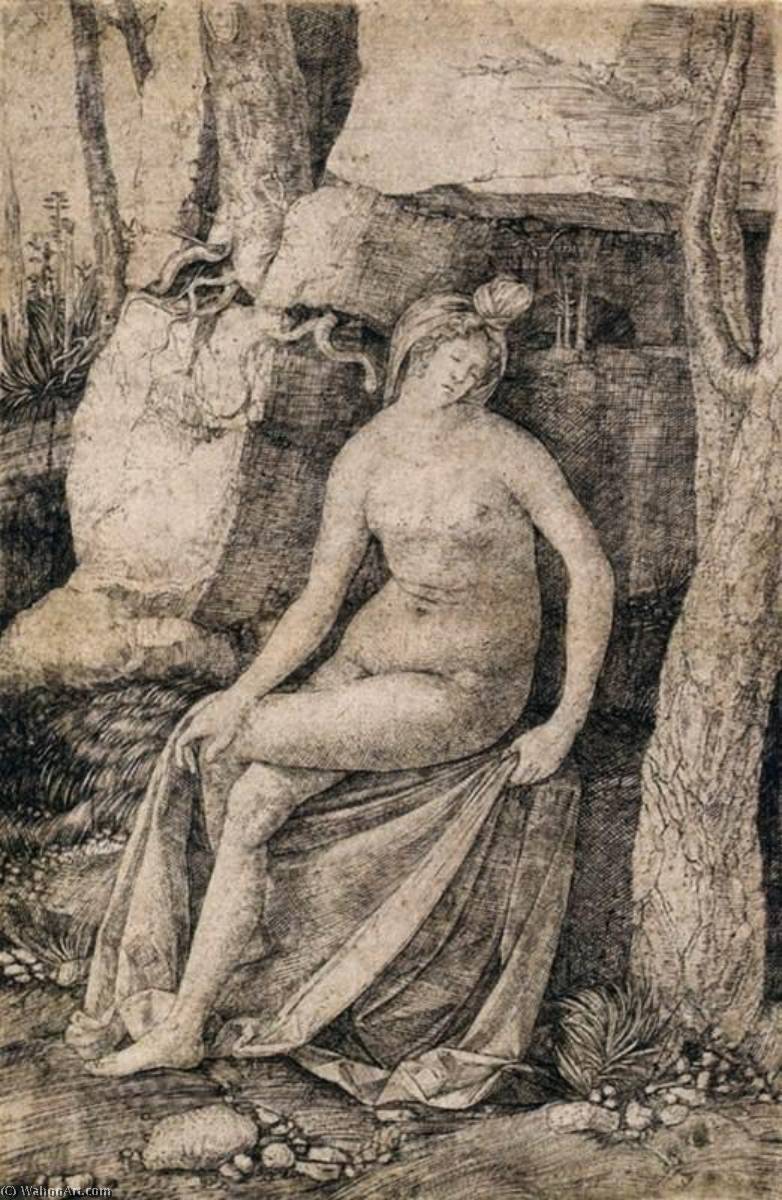 Wikioo.org - The Encyclopedia of Fine Arts - Painting, Artwork by Jacopo Barbari - Cleopatra