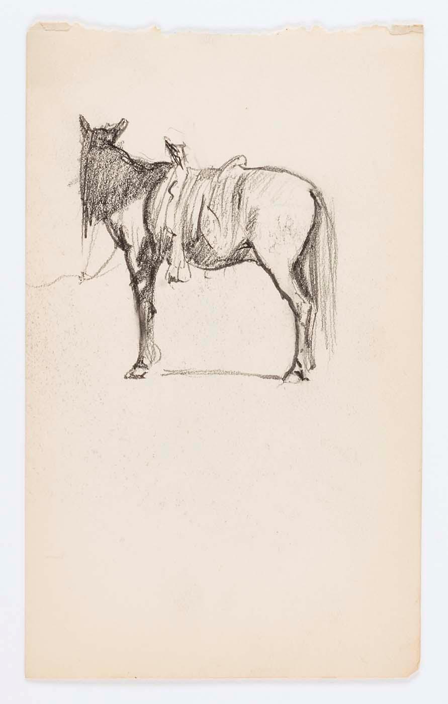 WikiOO.org - Εγκυκλοπαίδεια Καλών Τεχνών - Ζωγραφική, έργα τέχνης Howard Russell Butler - Untitled (Horse)