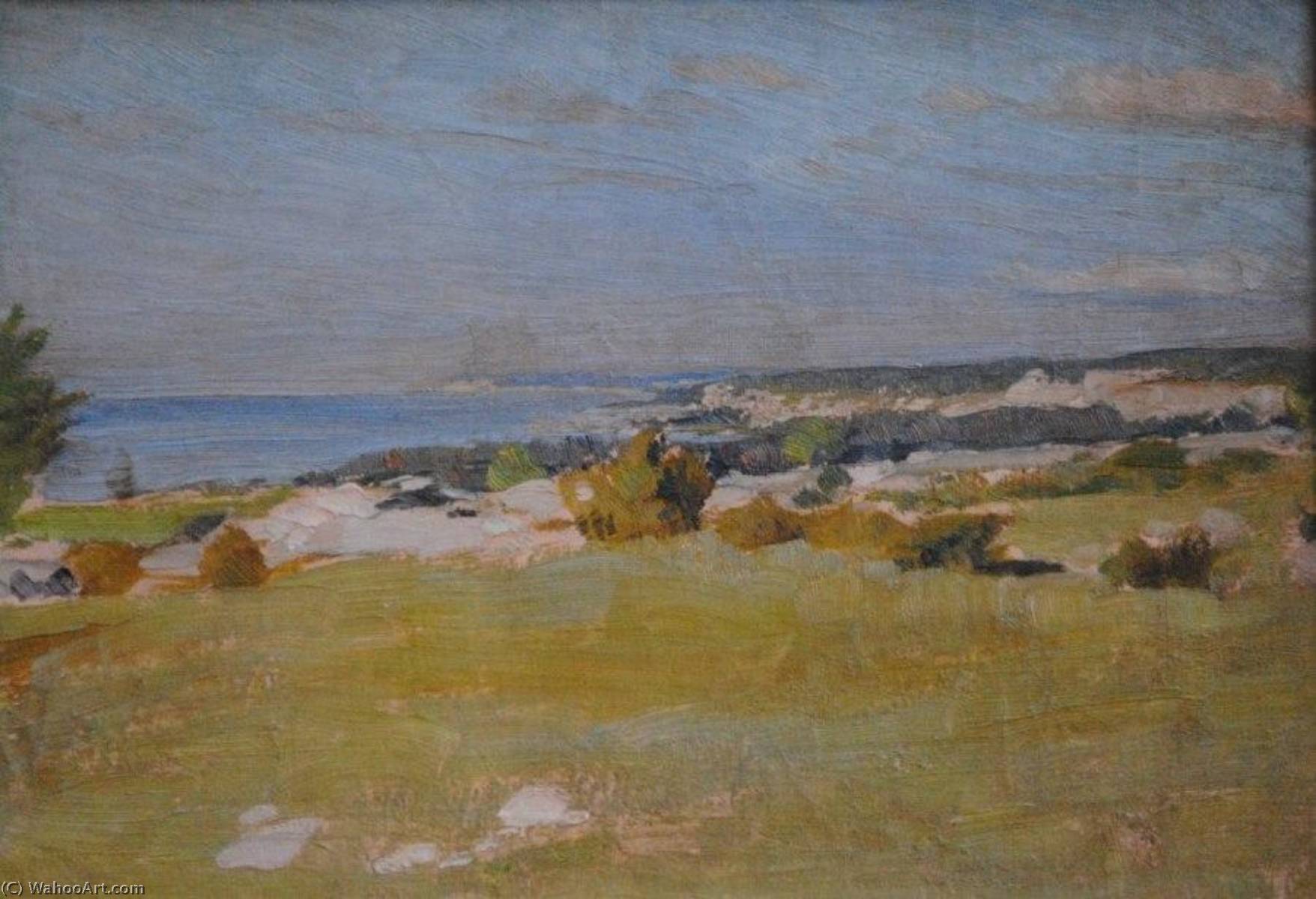 Wikioo.org - The Encyclopedia of Fine Arts - Painting, Artwork by Johan Krouthén - Gotland (study)