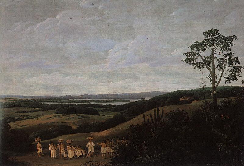 Wikioo.org - The Encyclopedia of Fine Arts - Painting, Artwork by Frans Jansz Post - Brazilian Landscape