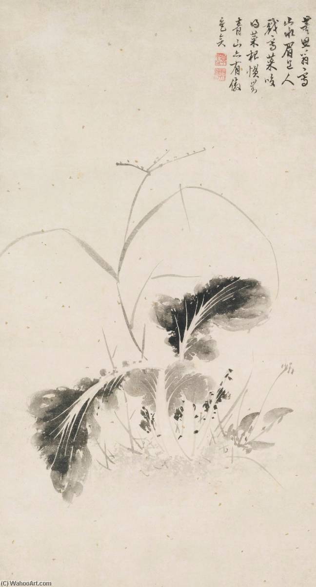 WikiOO.org - Encyclopedia of Fine Arts - Lukisan, Artwork Chen Jiru - CABBAGE