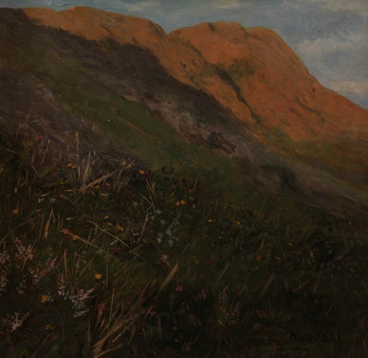 Wikioo.org - Die Enzyklopädie bildender Kunst - Malerei, Kunstwerk von Hans Andreas Dahl - berglandschaft mit  blumen