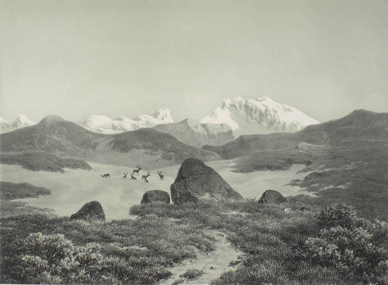 Wikioo.org - สารานุกรมวิจิตรศิลป์ - จิตรกรรม Hans Fredrik Gude - The mountain Snøhetta