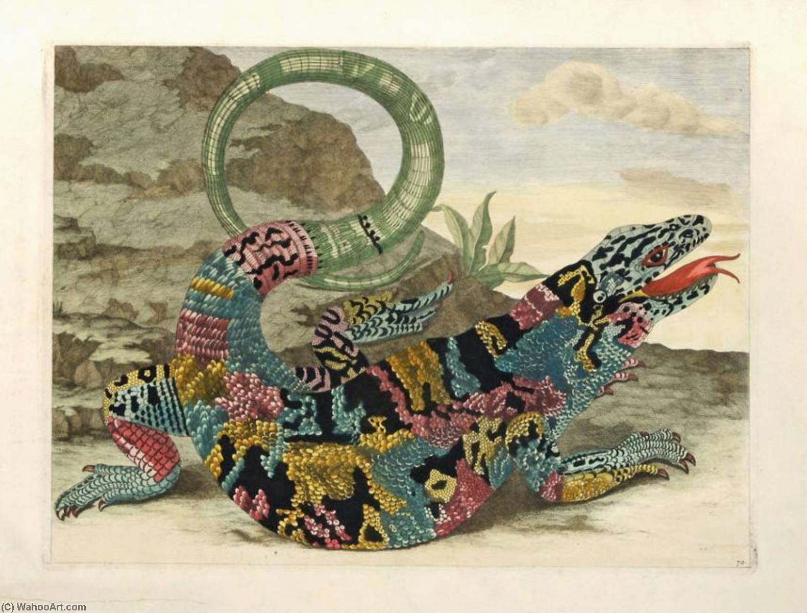 WikiOO.org - Encyclopedia of Fine Arts - Maalaus, taideteos Maria Sibylla Merian - Lizard