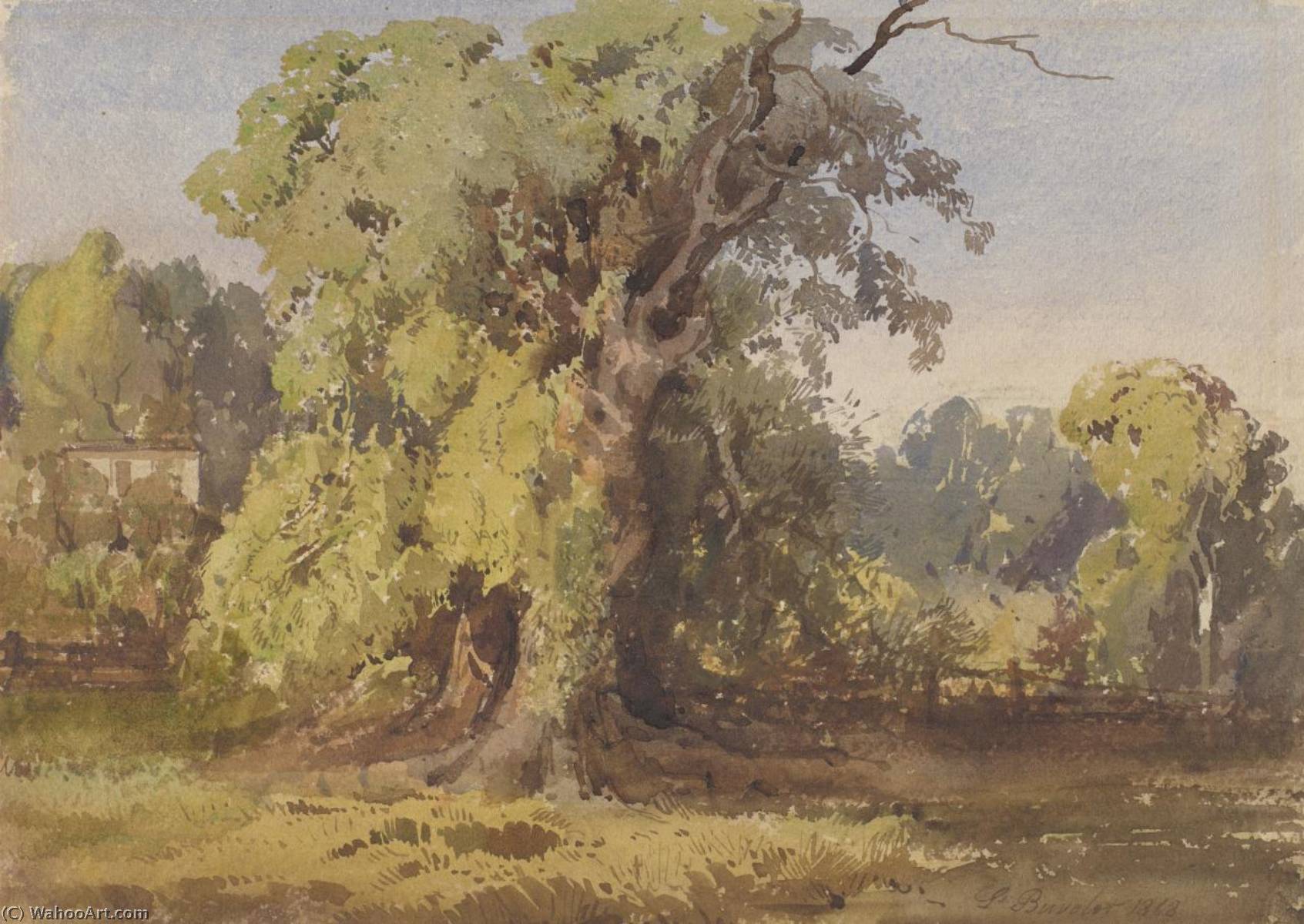 Wikioo.org - The Encyclopedia of Fine Arts - Painting, Artwork by Louis Buvelot - Home and Gums