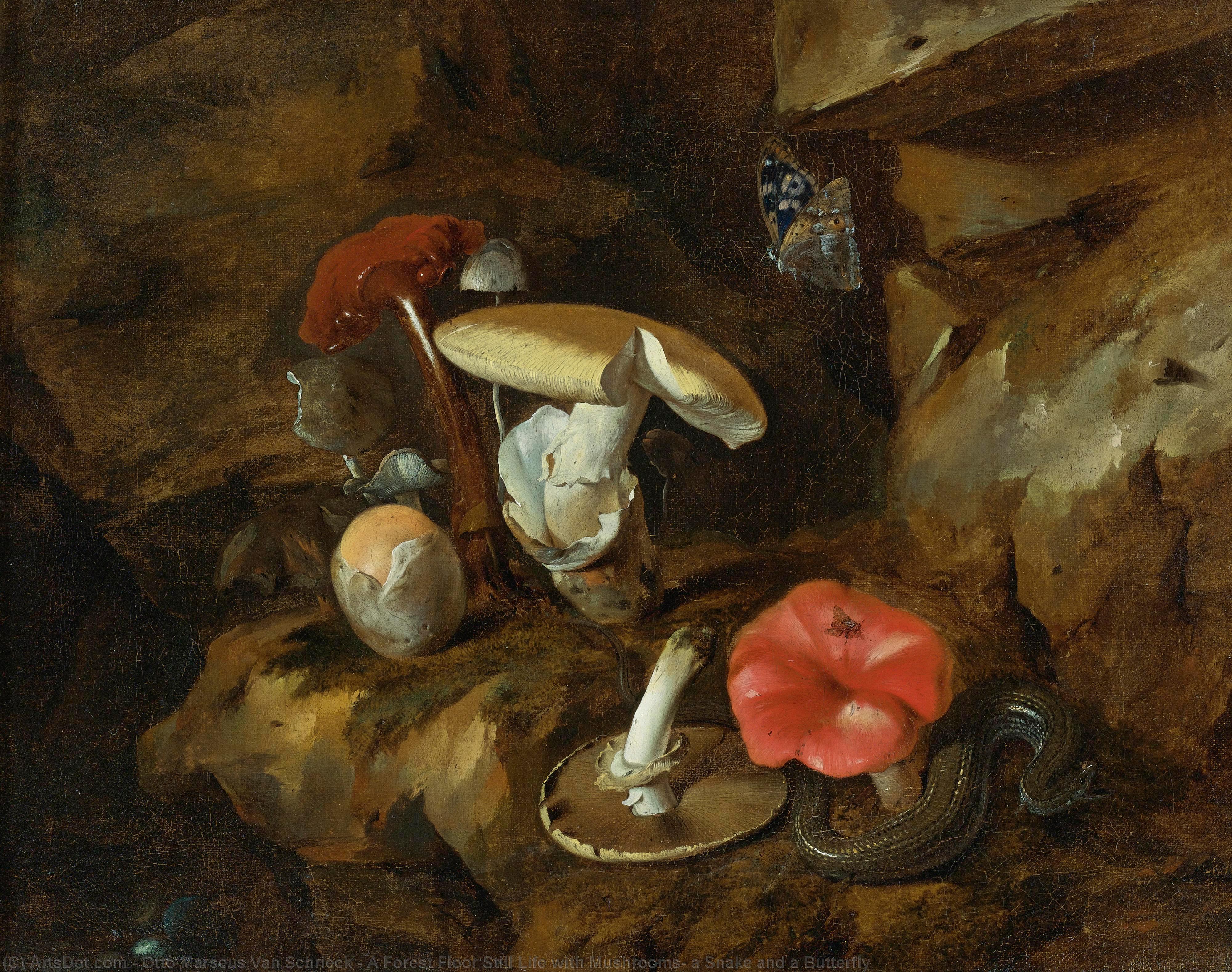WikiOO.org – 美術百科全書 - 繪畫，作品 Otto Marseus Van Schrieck - 一片森林 地板  仍 life 与 蘑菇 , 一条蛇  和 蝴蝶