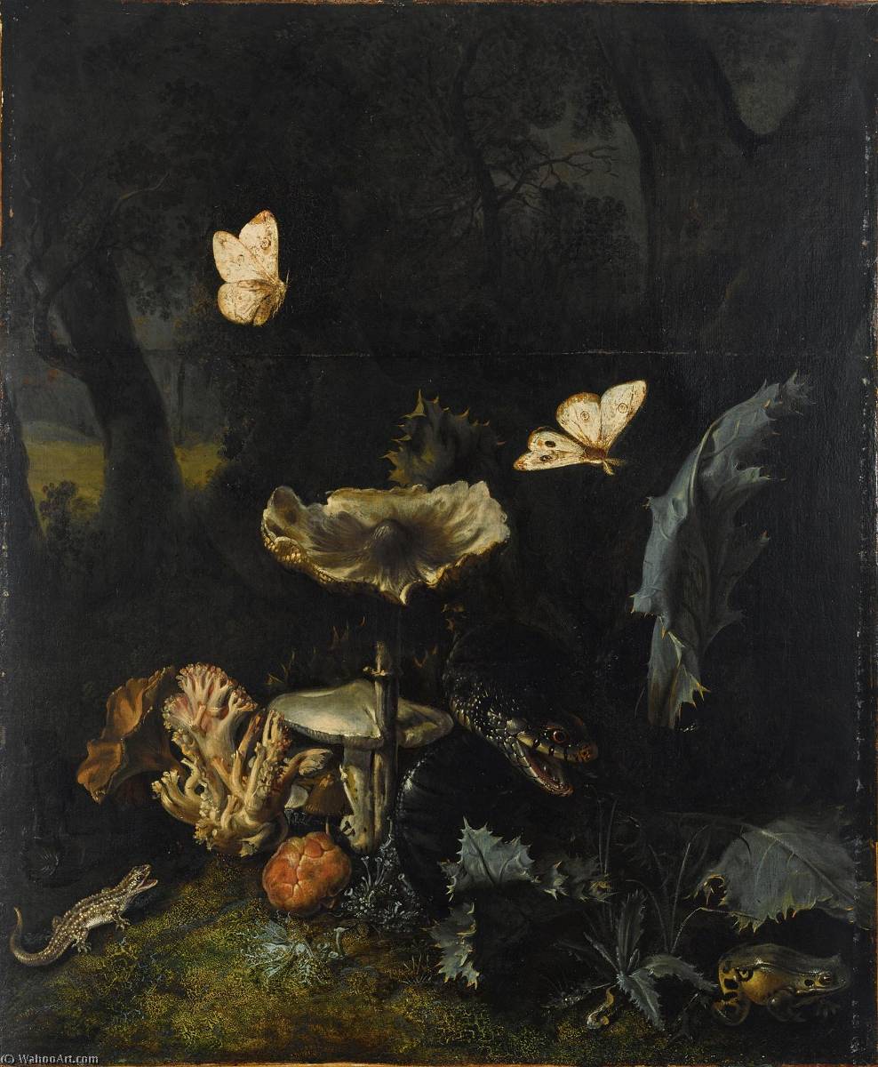 Wikioo.org - The Encyclopedia of Fine Arts - Painting, Artwork by Otto Marseus Van Schrieck - A Forest Floor Still Life with Various fungi, Thistles, an Aspic Viper, etc