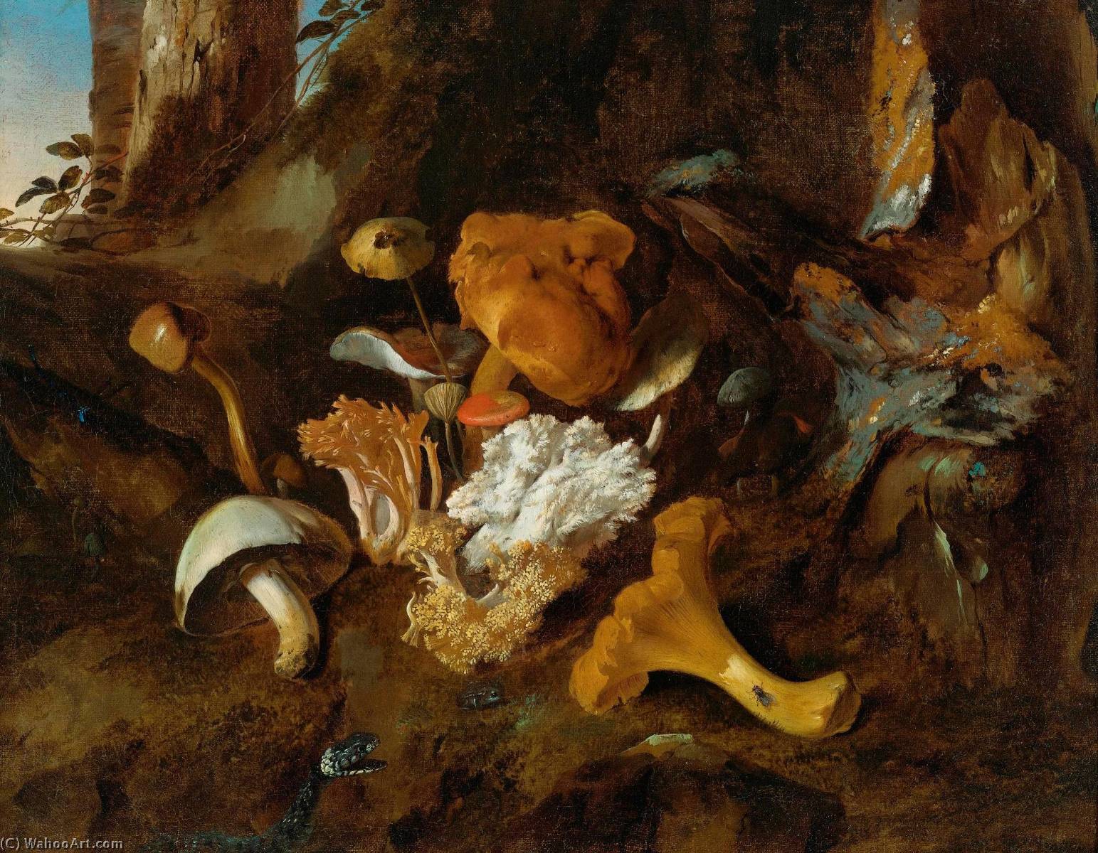 Wikioo.org – La Enciclopedia de las Bellas Artes - Pintura, Obras de arte de Otto Marseus Van Schrieck - Un bosque piso bodegón con Setas y una serpiente