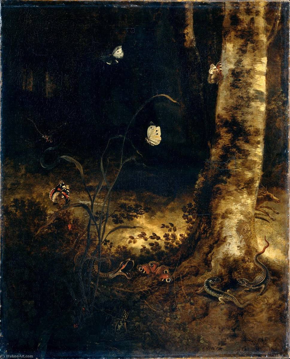 Wikioo.org - The Encyclopedia of Fine Arts - Painting, Artwork by Otto Marseus Van Schrieck - Forest floor still life with butterflies and reptiles