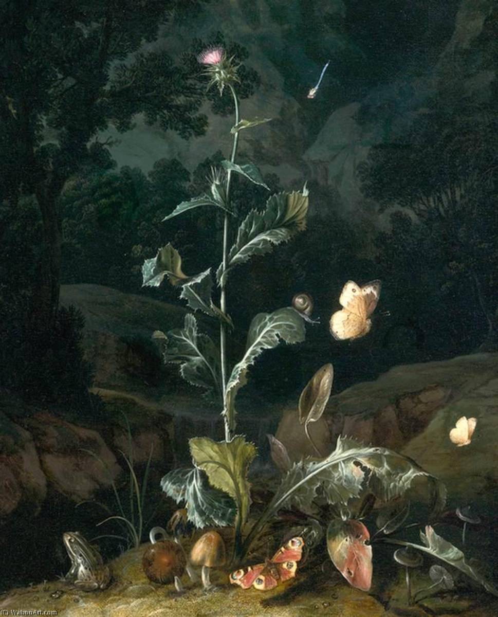 WikiOO.org - Encyclopedia of Fine Arts - Maalaus, taideteos Otto Marseus Van Schrieck - Nocturnal Forest Floor Still Life