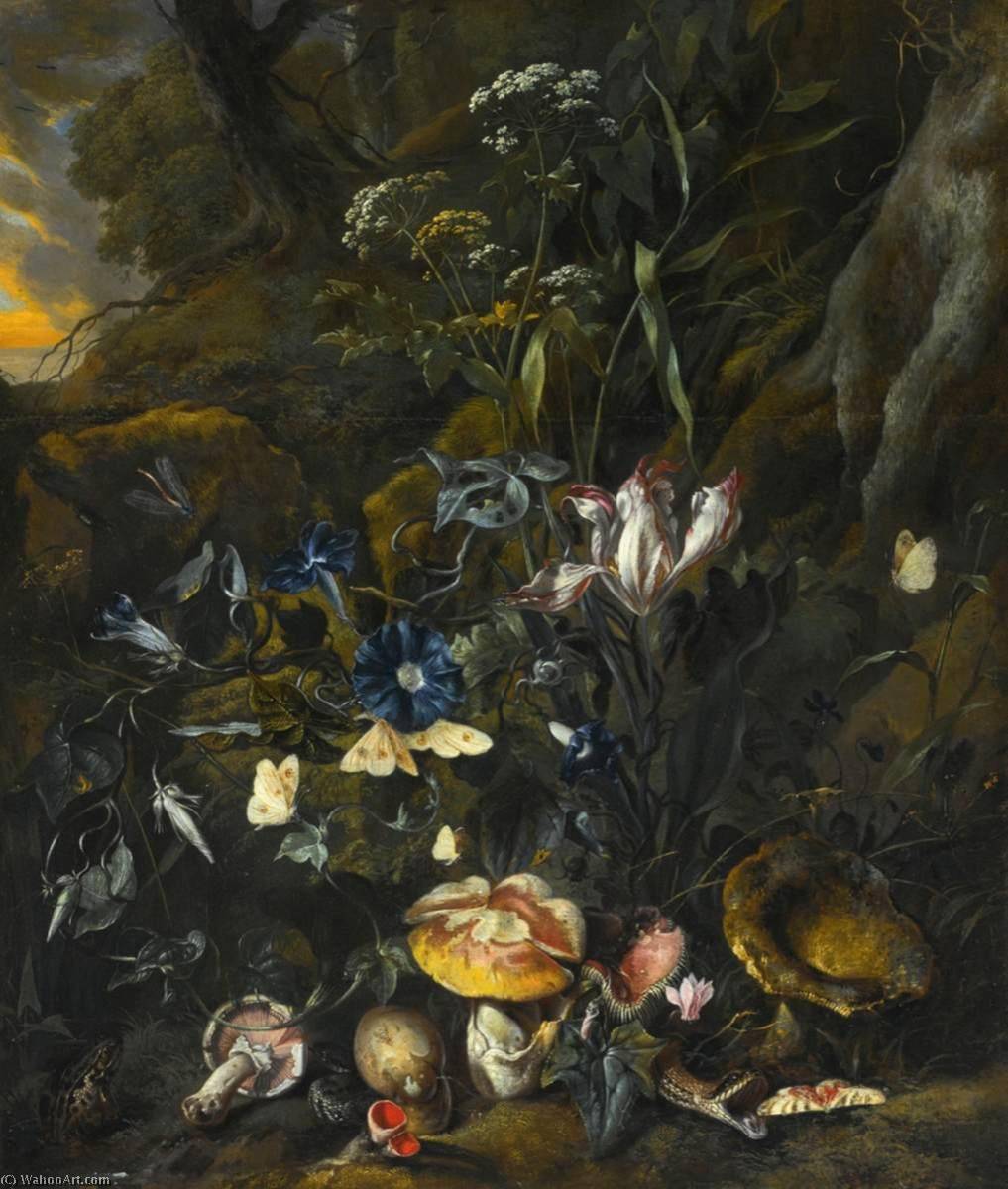 Wikioo.org – L'Enciclopedia delle Belle Arti - Pittura, Opere di Otto Marseus Van Schrieck - foresta piano ancora  vita