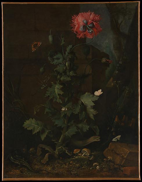 Wikioo.org - The Encyclopedia of Fine Arts - Painting, Artwork by Otto Marseus Van Schrieck - Still Life with Poppy, Insects, and Reptiles