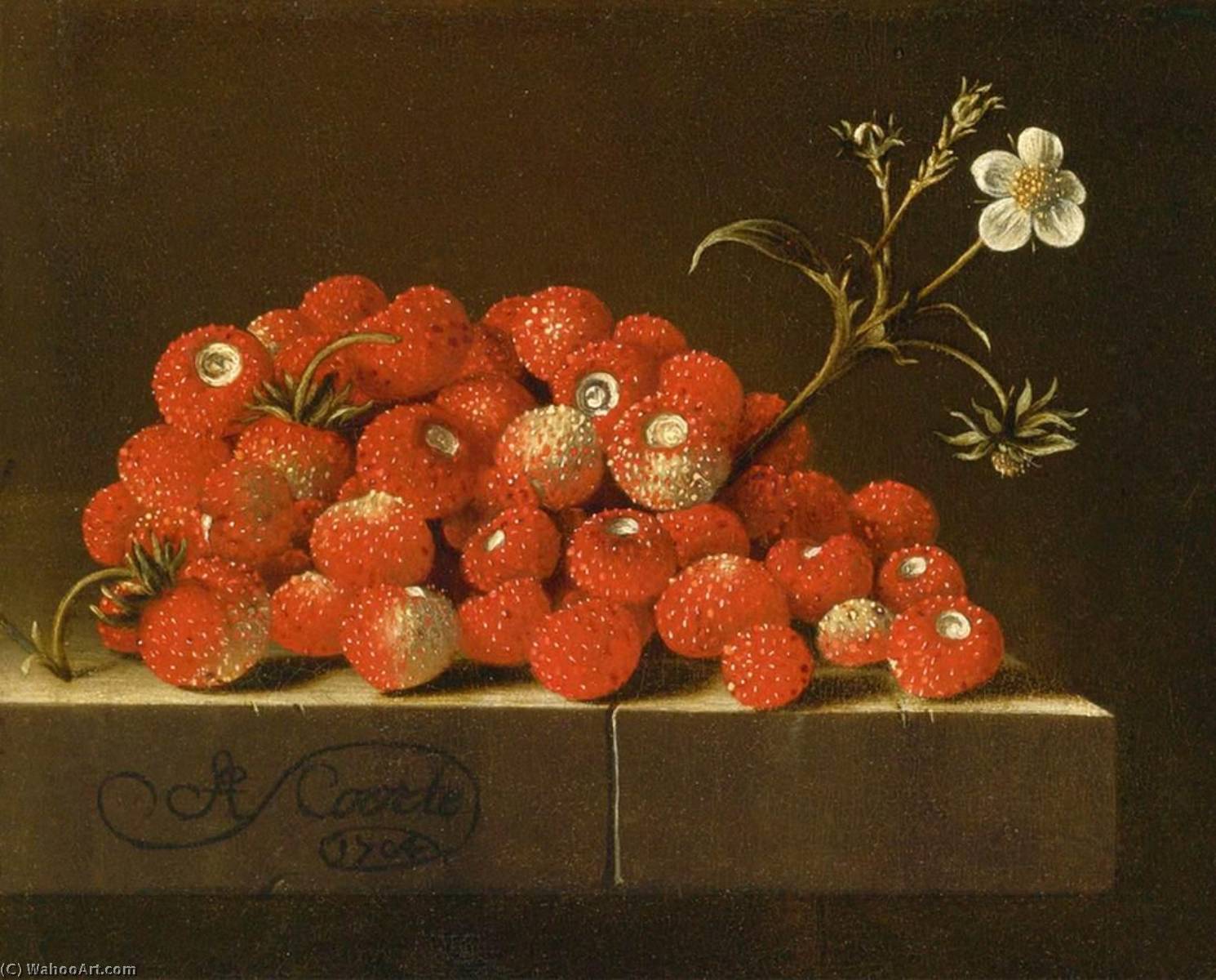 Wikioo.org – La Enciclopedia de las Bellas Artes - Pintura, Obras de arte de After Adriaen Coorte - fresas silvestres en  Un  cornisa