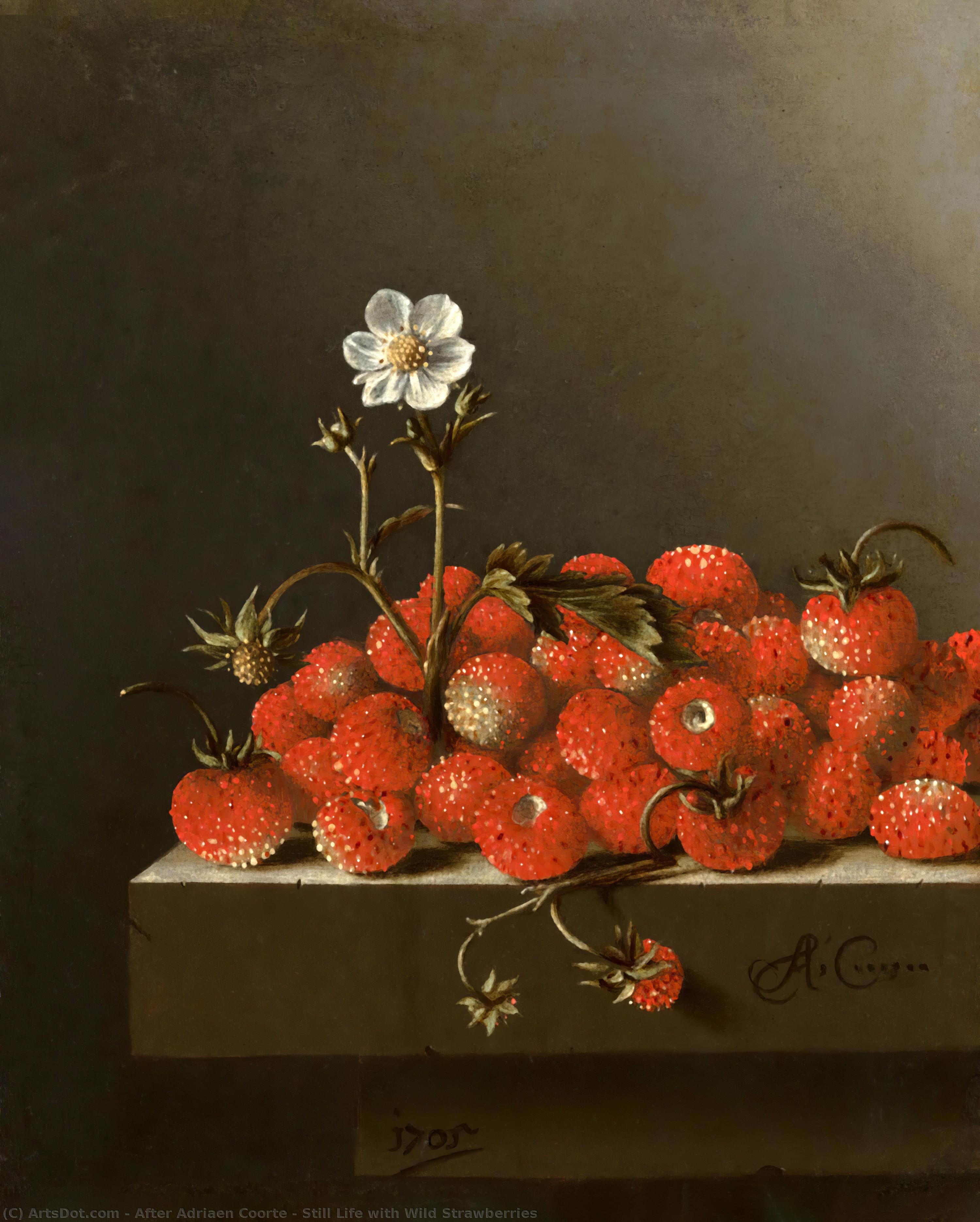 Wikioo.org – La Enciclopedia de las Bellas Artes - Pintura, Obras de arte de After Adriaen Coorte - bodegón con salvaje  fresas