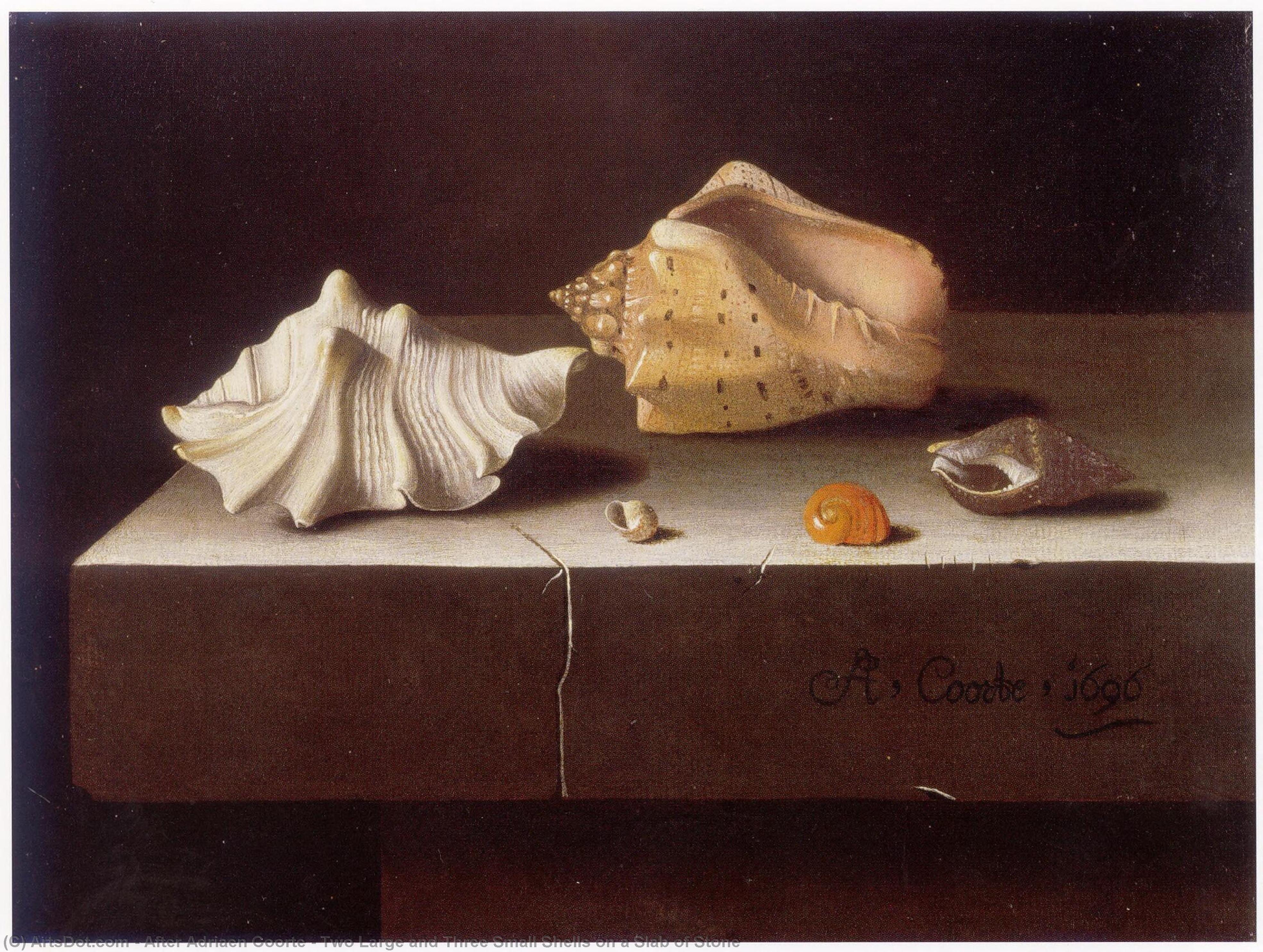 Wikioo.org - The Encyclopedia of Fine Arts - Painting, Artwork by After Adriaen Coorte - Two Large and Three Small Shells on a Slab of Stone