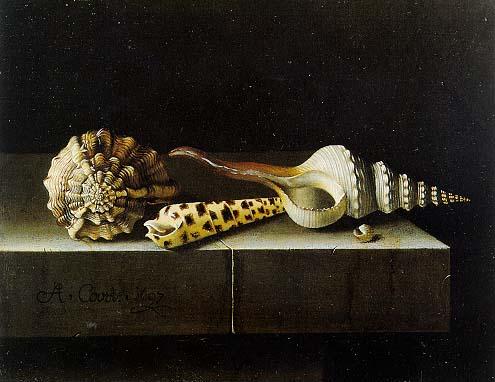 WikiOO.org - Encyclopedia of Fine Arts - Målning, konstverk After Adriaen Coorte - Still Life with Shells