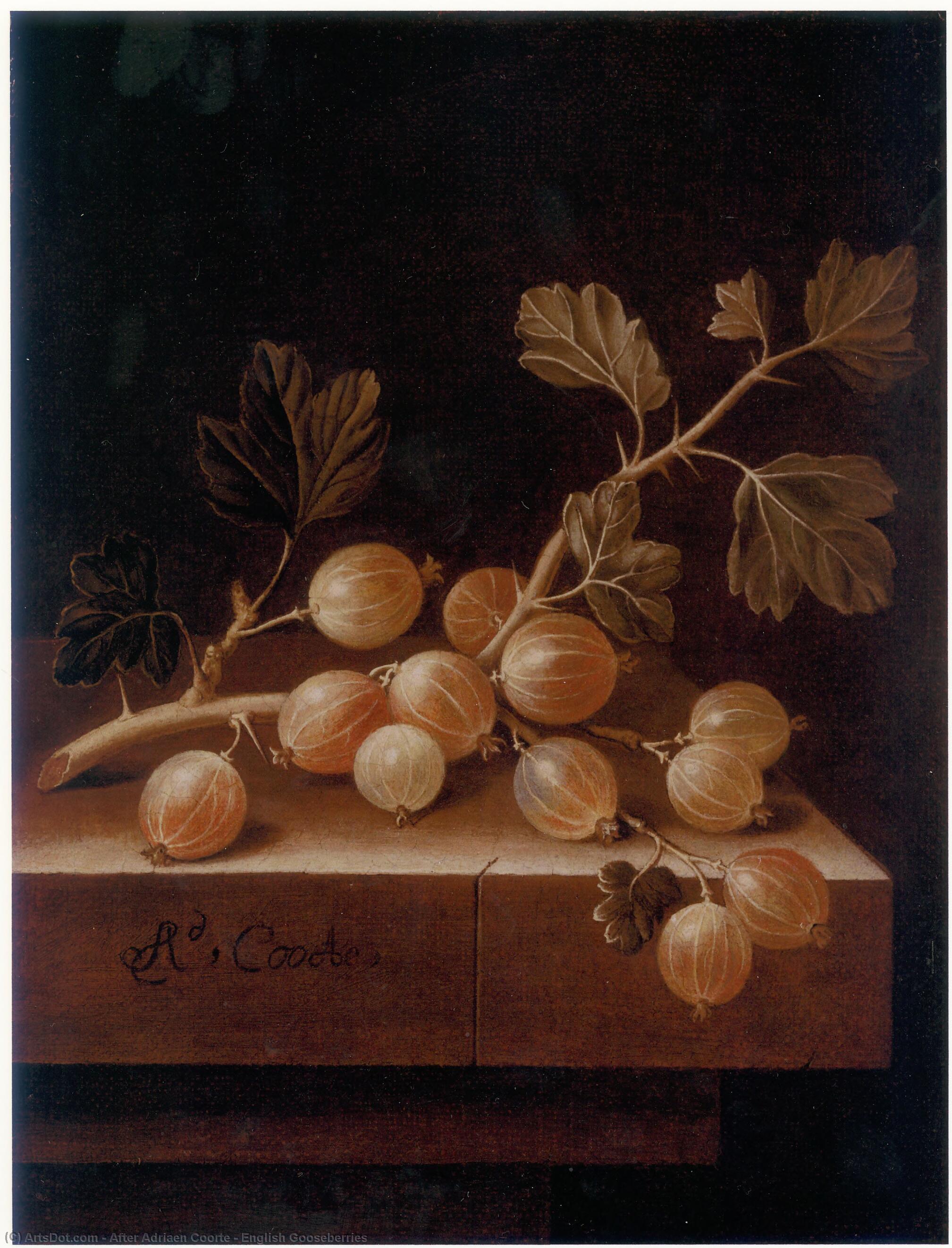 Wikioo.org - The Encyclopedia of Fine Arts - Painting, Artwork by After Adriaen Coorte - English Gooseberries