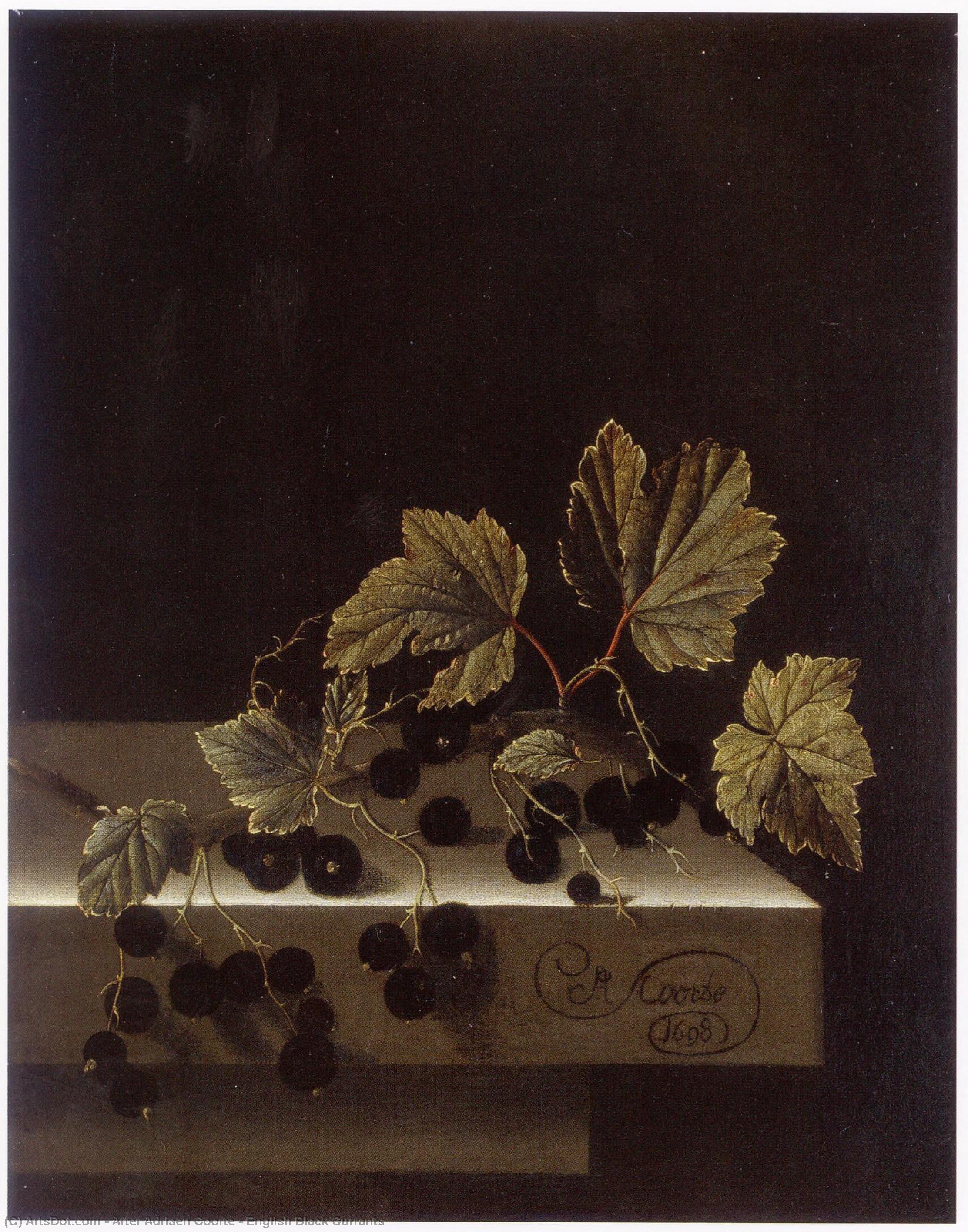 Wikioo.org - The Encyclopedia of Fine Arts - Painting, Artwork by After Adriaen Coorte - English Black Currants
