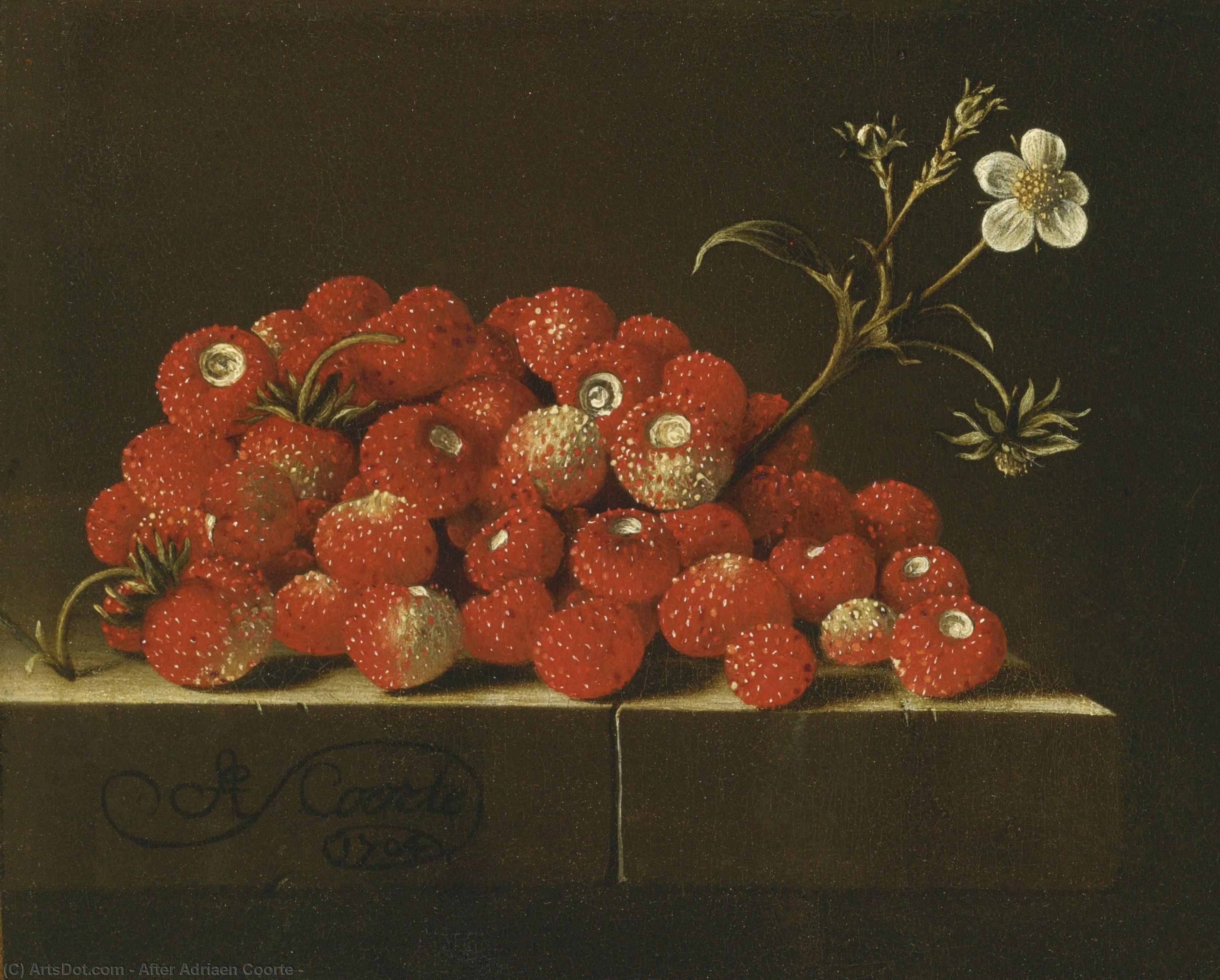 WikiOO.org - Encyclopedia of Fine Arts - Lukisan, Artwork After Adriaen Coorte - 
