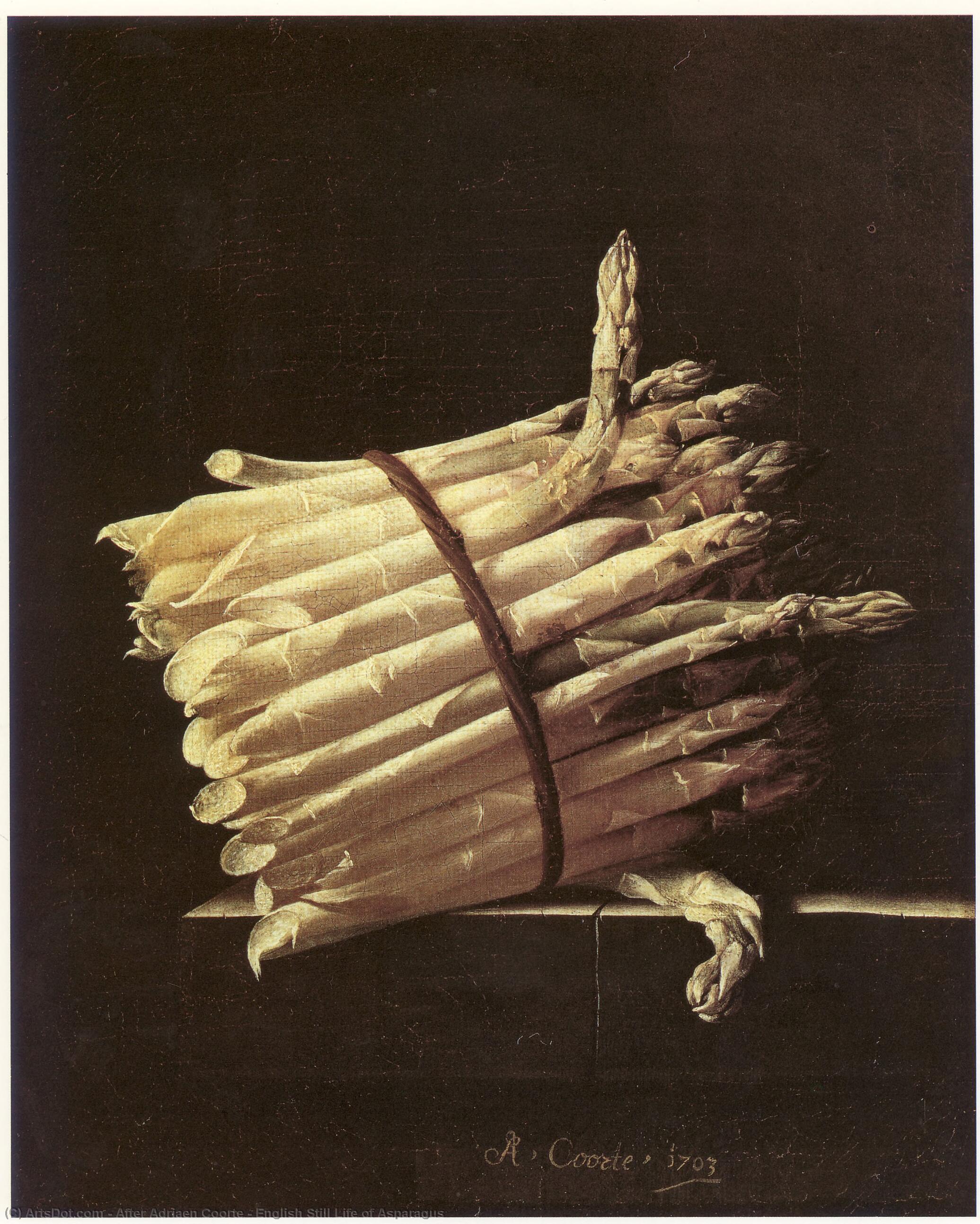 Wikioo.org - The Encyclopedia of Fine Arts - Painting, Artwork by After Adriaen Coorte - English Still Life of Asparagus