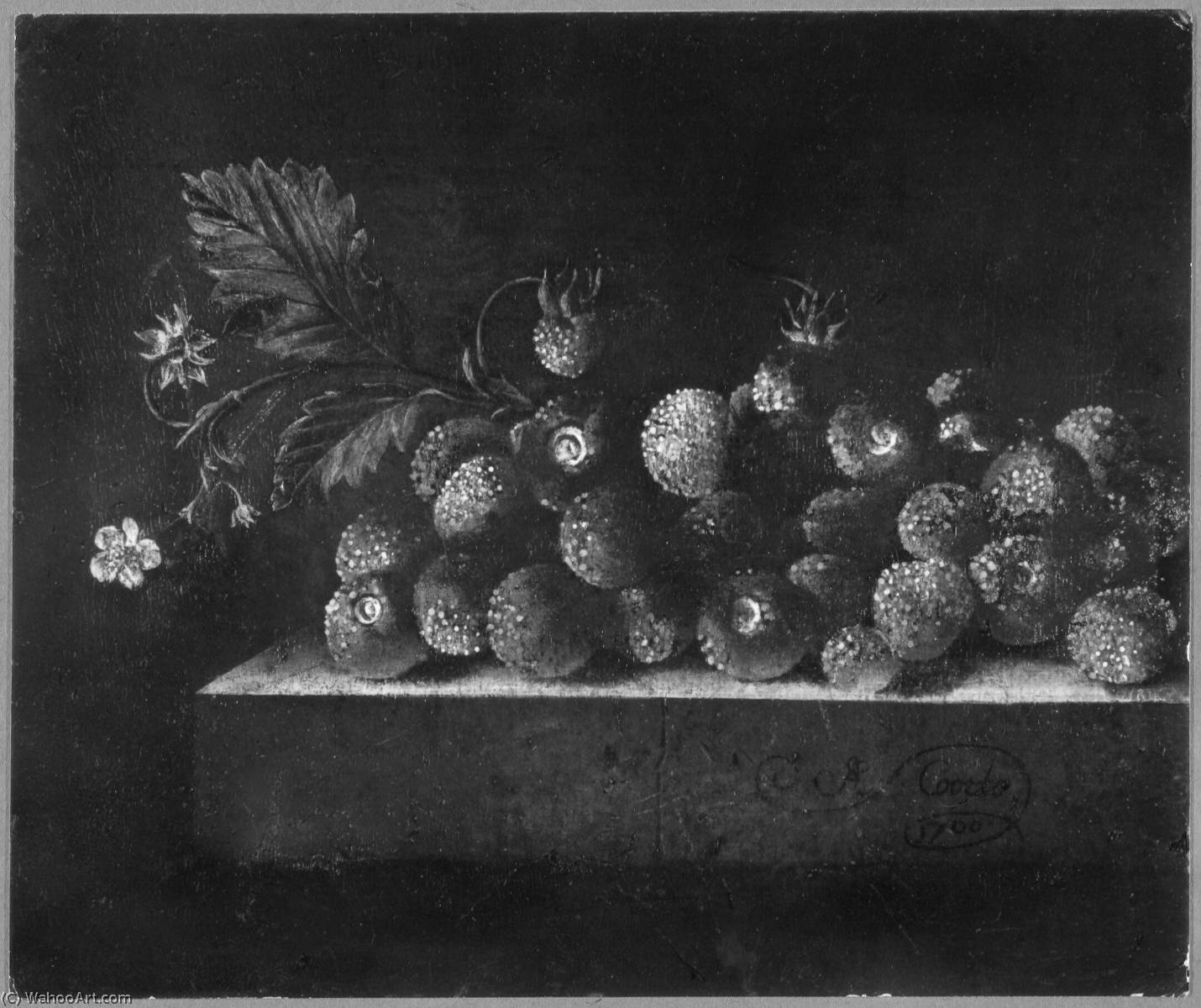 Wikioo.org - สารานุกรมวิจิตรศิลป์ - จิตรกรรม After Adriaen Coorte - English Still Life with Strawberries