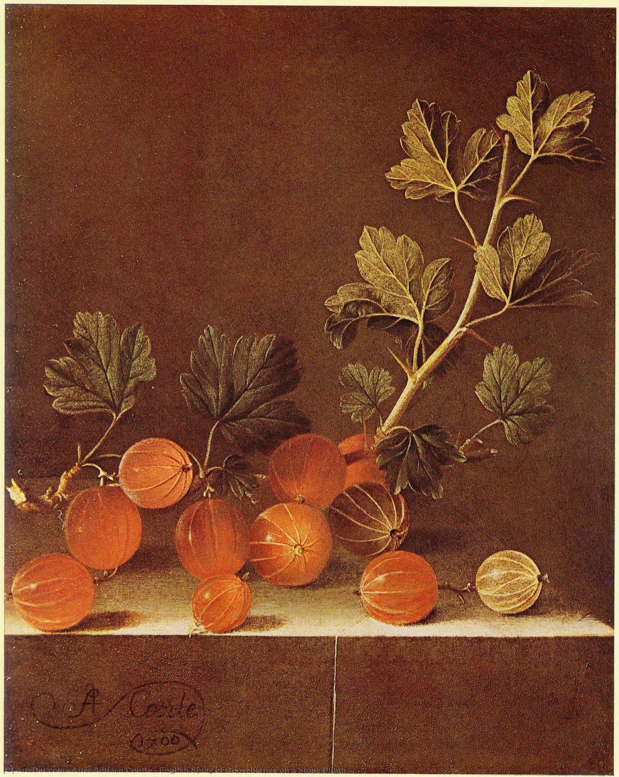 Wikioo.org - The Encyclopedia of Fine Arts - Painting, Artwork by After Adriaen Coorte - English Spray of Gooseberries on a Stone Plinth
