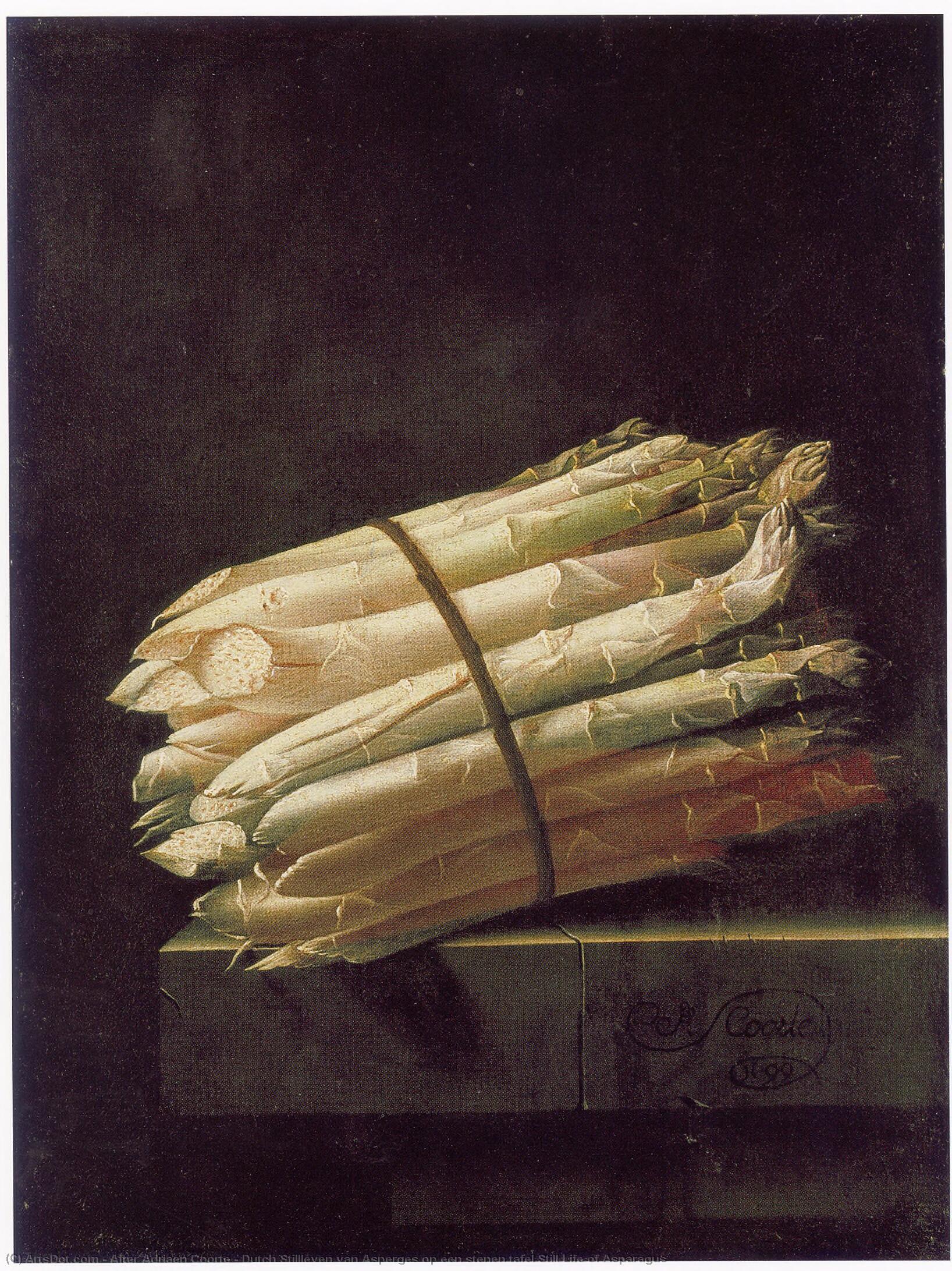 Wikioo.org - The Encyclopedia of Fine Arts - Painting, Artwork by After Adriaen Coorte - Dutch Stillleven van Asperges op een stenen tafel Still Life of Asparagus