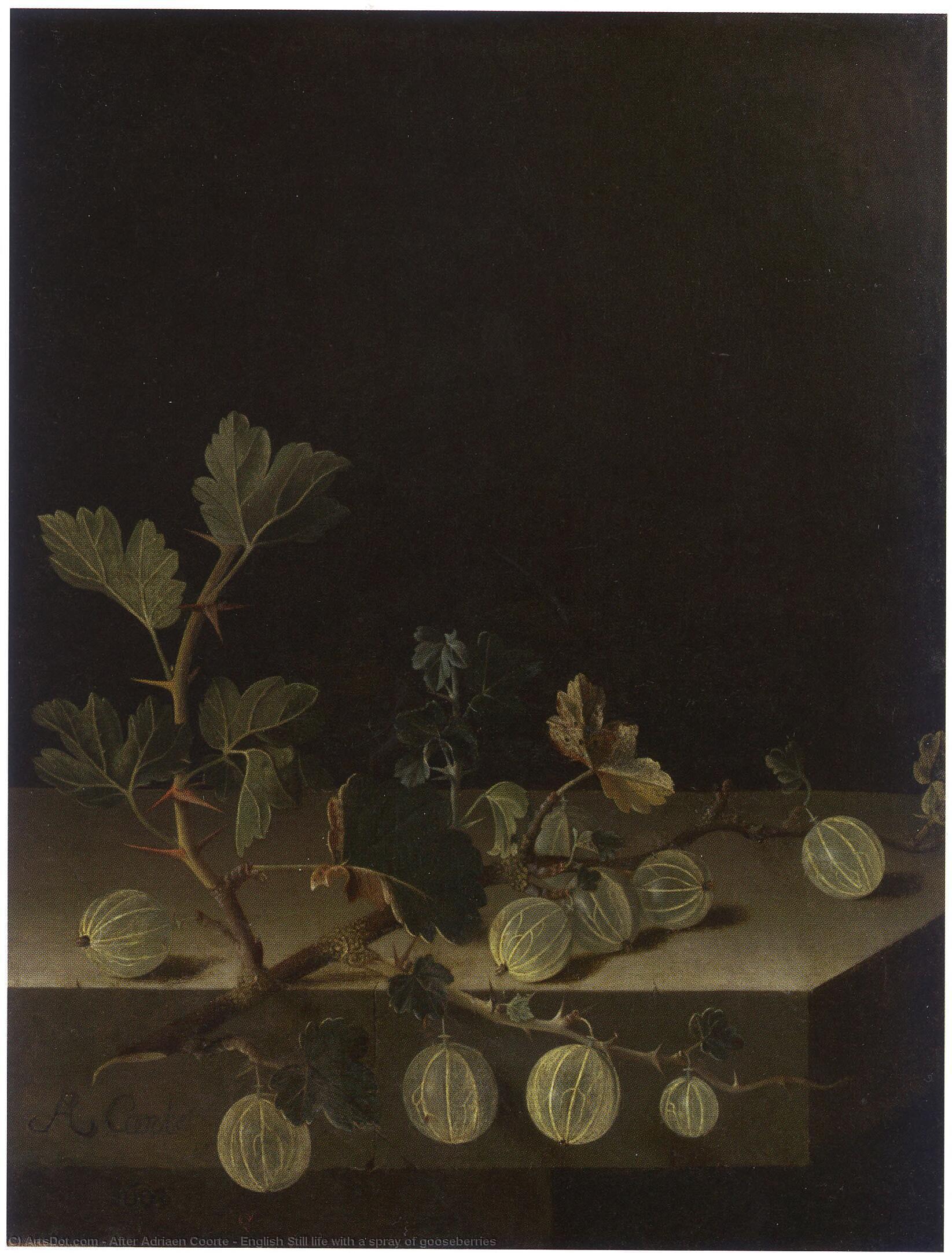 Wikioo.org - The Encyclopedia of Fine Arts - Painting, Artwork by After Adriaen Coorte - English Still life with a spray of gooseberries