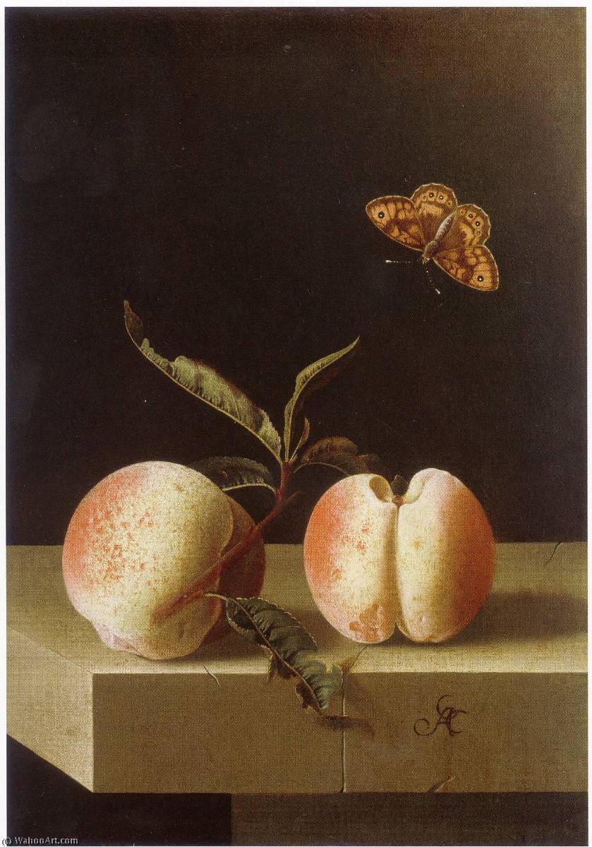 Wikioo.org - สารานุกรมวิจิตรศิลป์ - จิตรกรรม After Adriaen Coorte - English Two peaches and a fritillary butterfly on a stone plinth