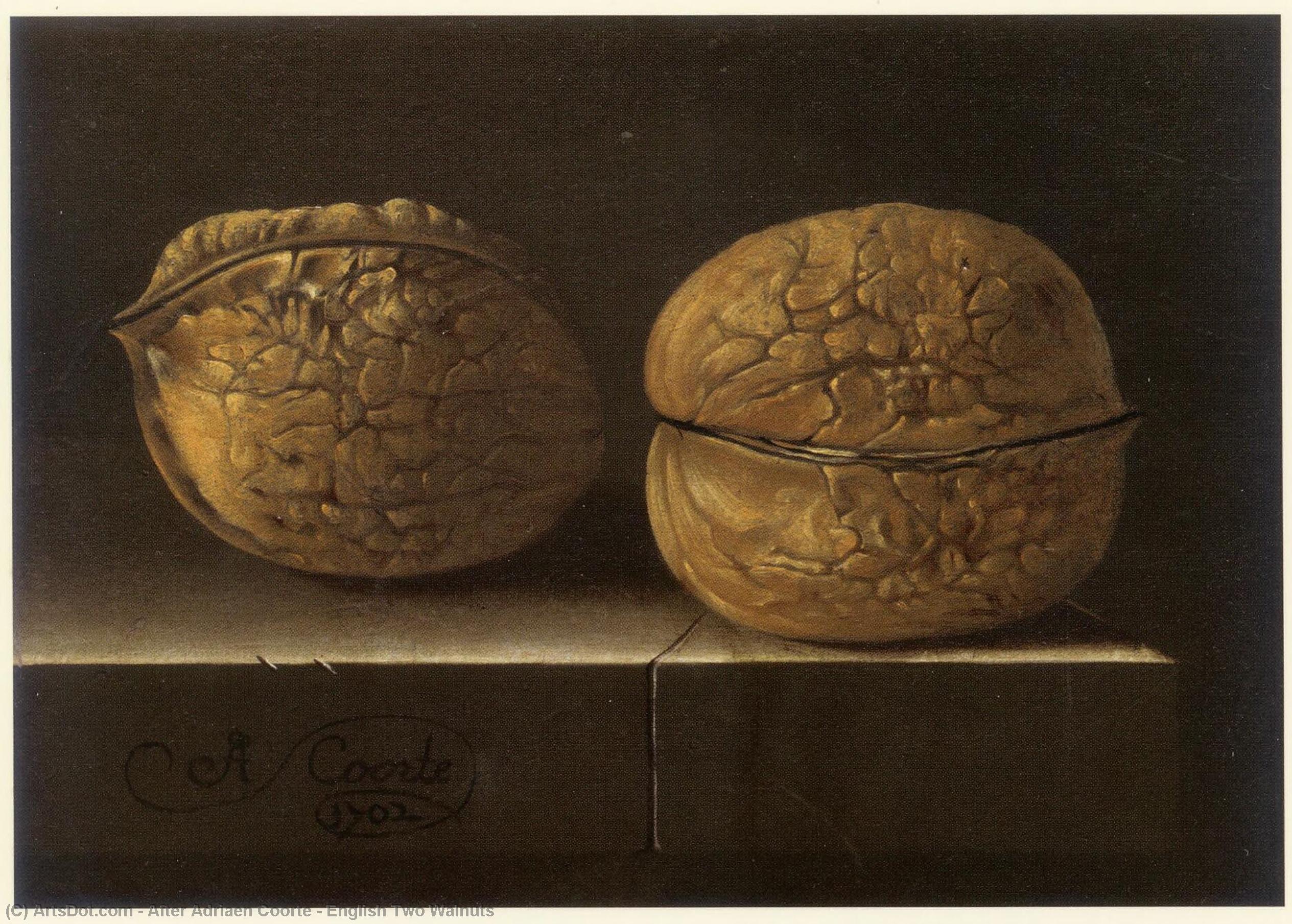 Wikioo.org - The Encyclopedia of Fine Arts - Painting, Artwork by After Adriaen Coorte - English Two Walnuts