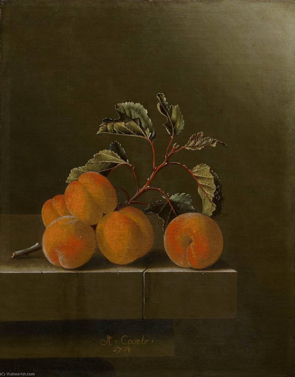 WikiOO.org - Enciclopédia das Belas Artes - Pintura, Arte por After Adriaen Coorte - English Still life with five apricots