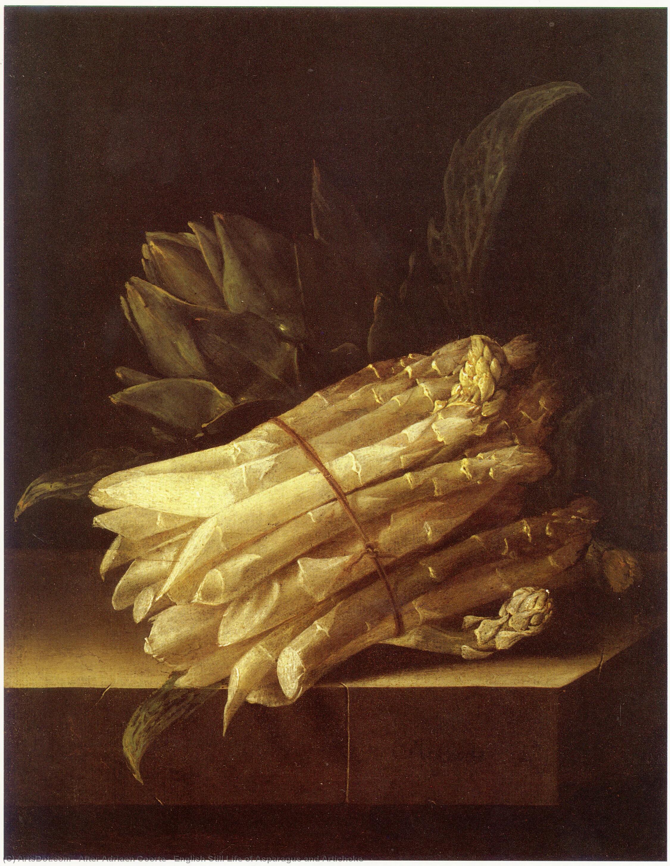 Wikioo.org - The Encyclopedia of Fine Arts - Painting, Artwork by After Adriaen Coorte - English Still Life of Asparagus and Artichoke