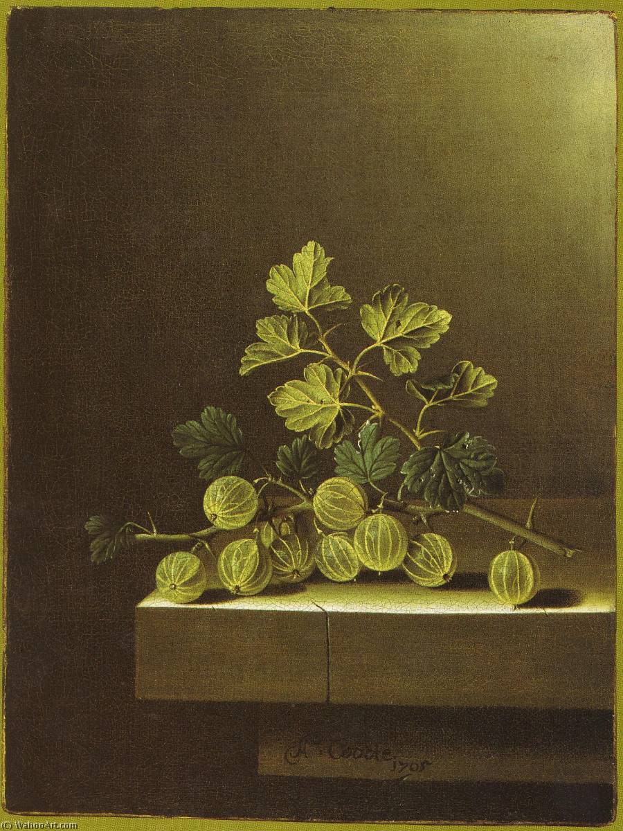 WikiOO.org - Enciklopedija dailės - Tapyba, meno kuriniai After Adriaen Coorte - English Spray of Green Gooseberries on a Stone Plinth