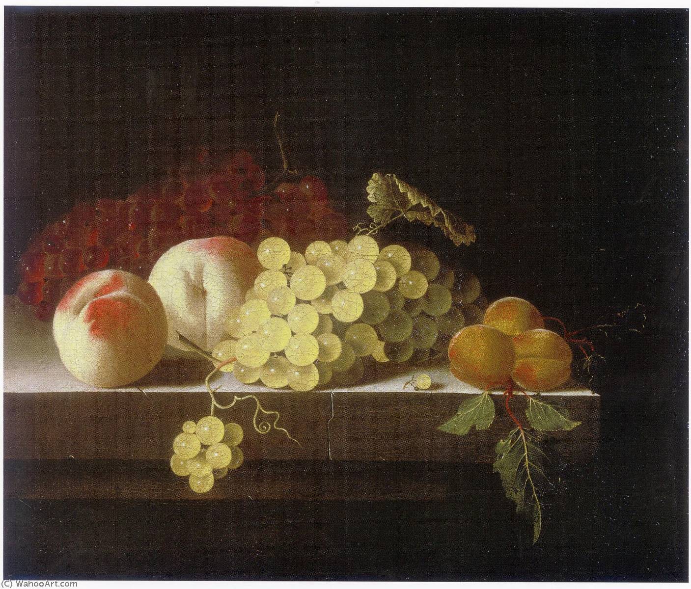 Wikioo.org - The Encyclopedia of Fine Arts - Painting, Artwork by After Adriaen Coorte - English Grapes, Peaches and Apricots on a Stone Plinth