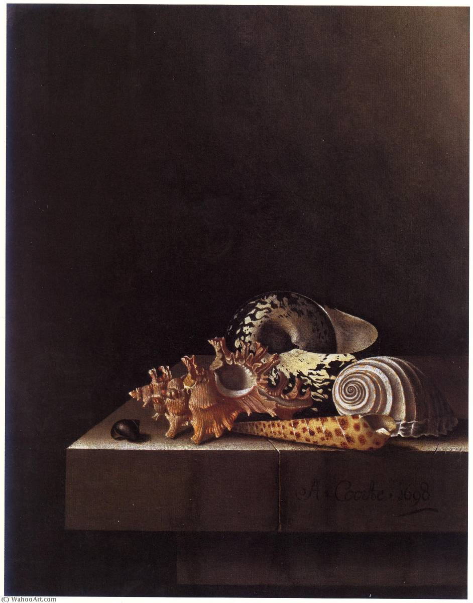 Wikioo.org - The Encyclopedia of Fine Arts - Painting, Artwork by After Adriaen Coorte - English Still Life with Shells