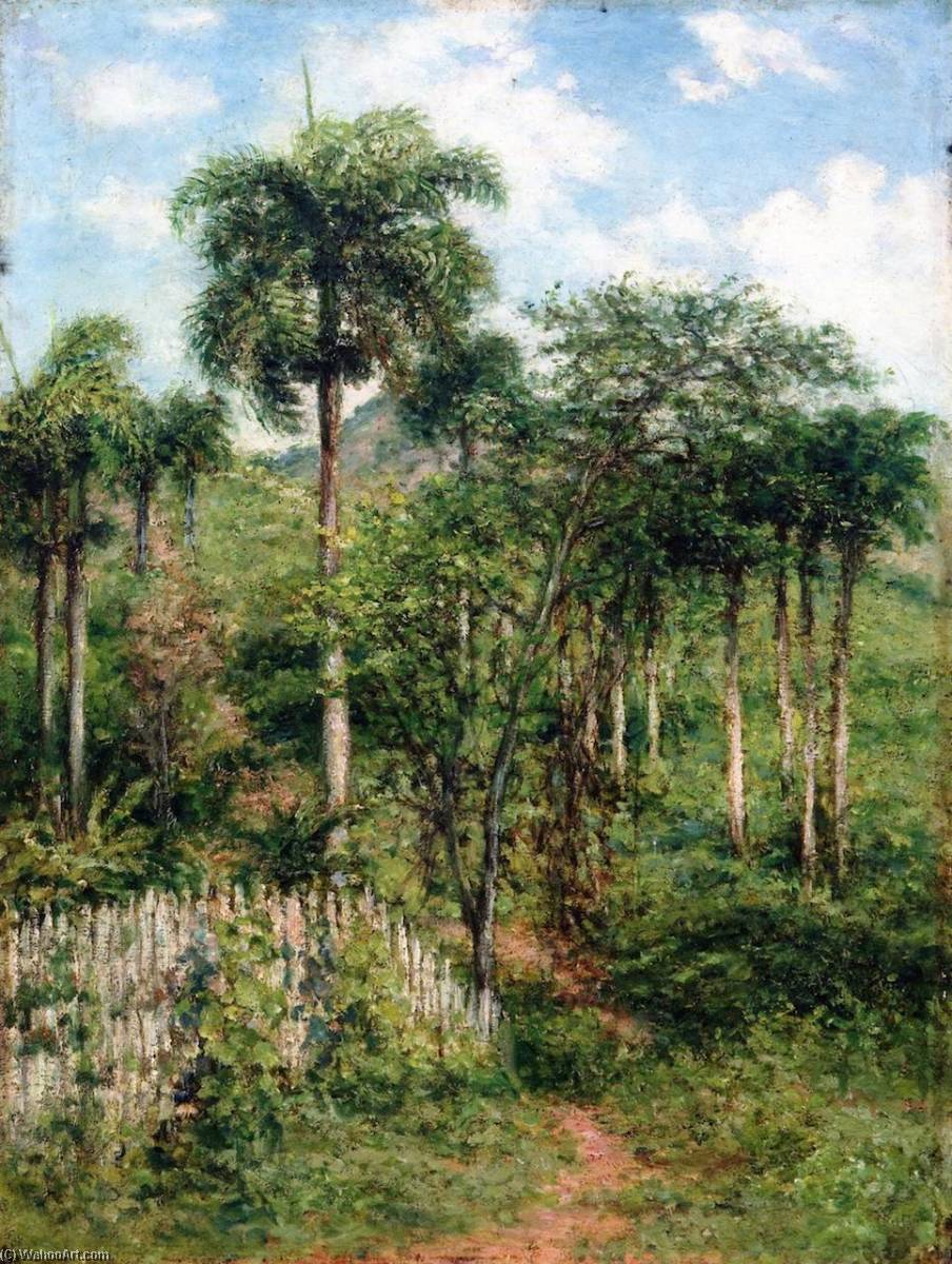 Wikioo.org - The Encyclopedia of Fine Arts - Painting, Artwork by Francisco Oller - Landscape with Royal Palms
