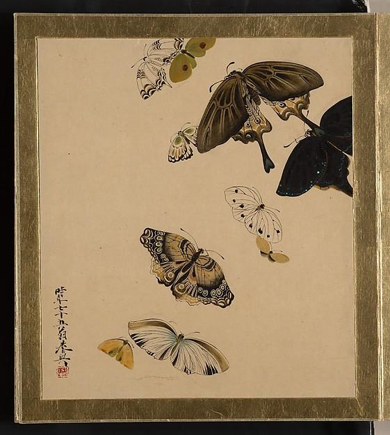 Wikioo.org - The Encyclopedia of Fine Arts - Painting, Artwork by Shibata Zeshin - Lacquer Paintings of Various Subjects Butterflies
