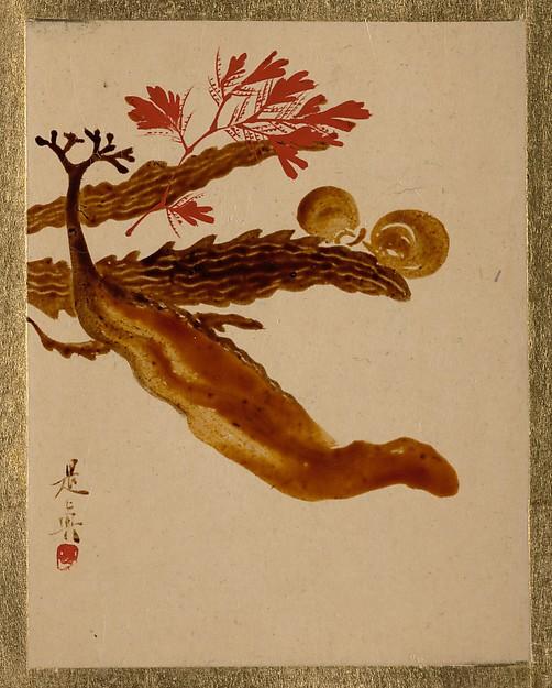 Wikioo.org - The Encyclopedia of Fine Arts - Painting, Artwork by Shibata Zeshin - Seaweed