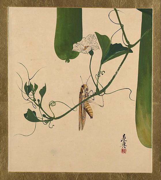 Wikioo.org - The Encyclopedia of Fine Arts - Painting, Artwork by Shibata Zeshin - Lacquer Paintings of Various Subjects Grasshopper on Gourd Vine