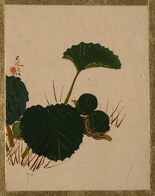 Wikioo.org - The Encyclopedia of Fine Arts - Painting, Artwork by Shibata Zeshin - Worm on Green Leaved Plant