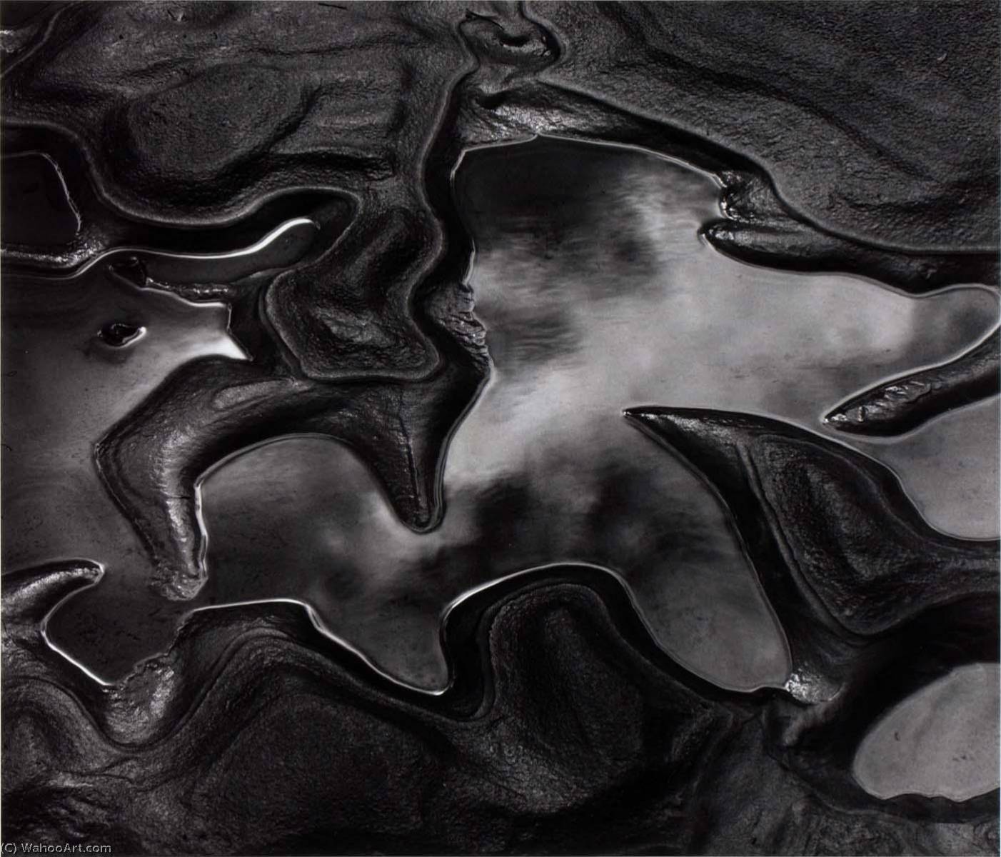 WikiOO.org - אנציקלופדיה לאמנויות יפות - ציור, יצירות אמנות Brett Weston - Untitled (Water Rock)
