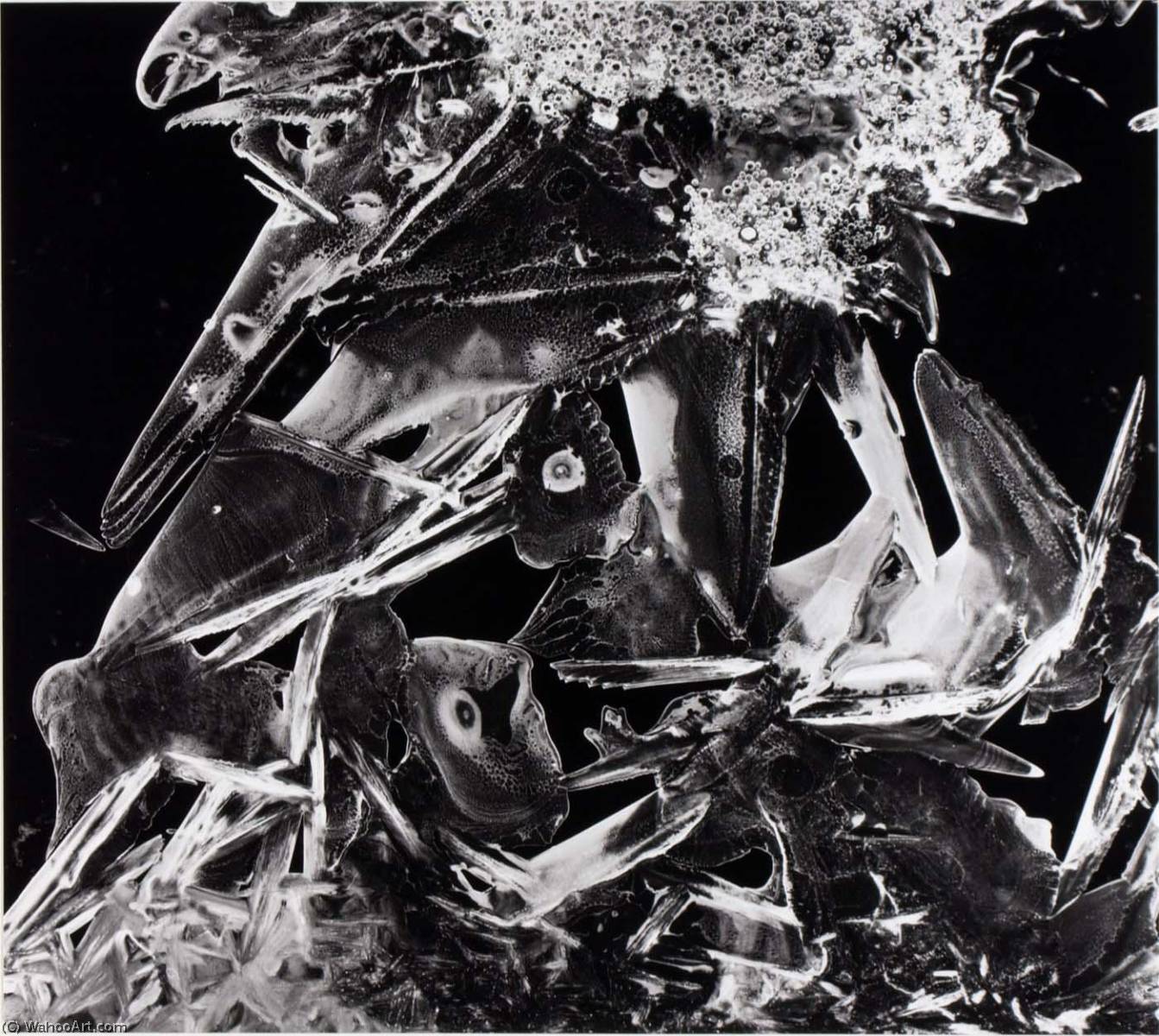 WikiOO.org - Encyclopedia of Fine Arts - Schilderen, Artwork Brett Weston - Untitled (Ice Crystal)